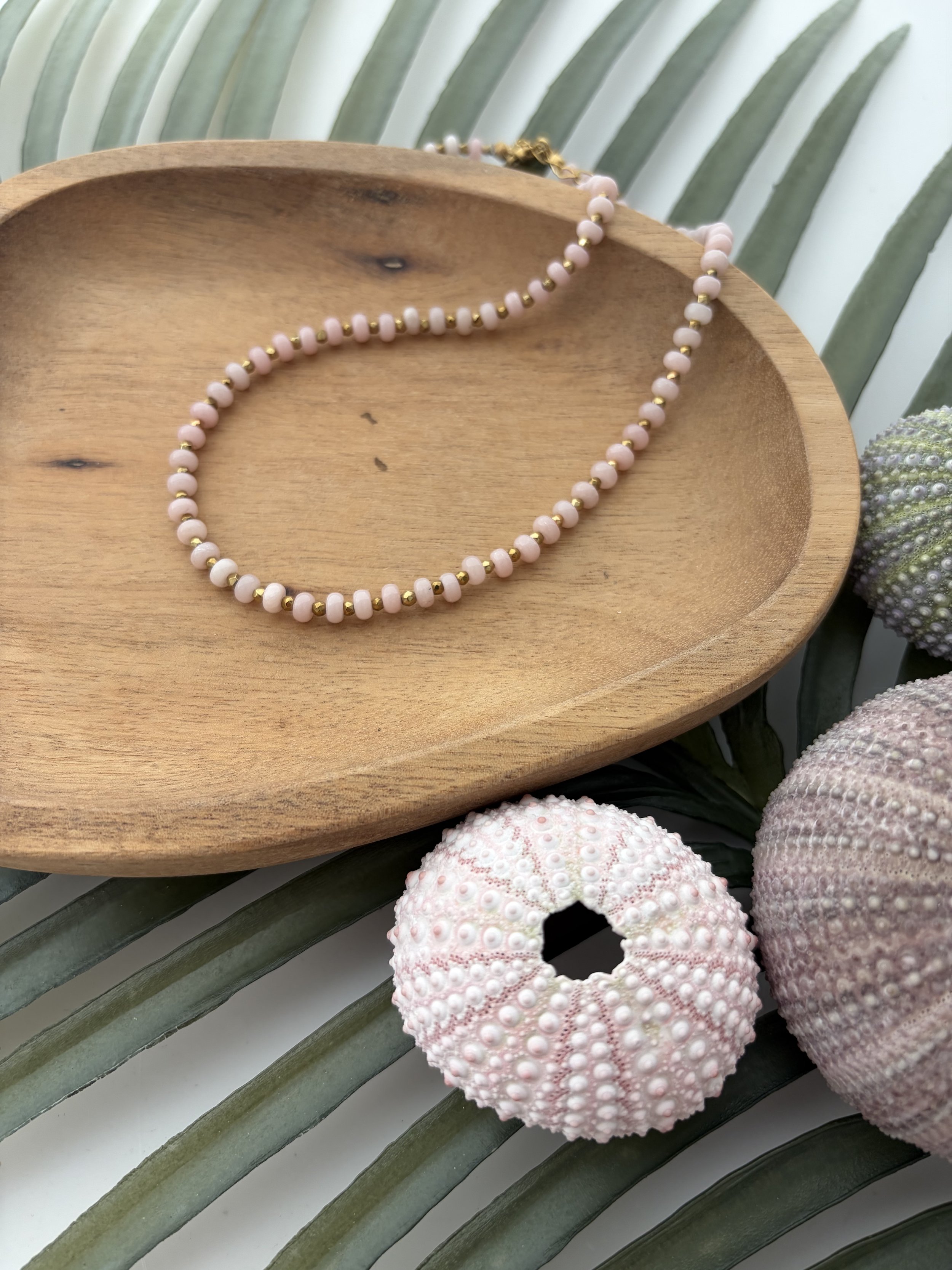 IMG_7218.jpeg