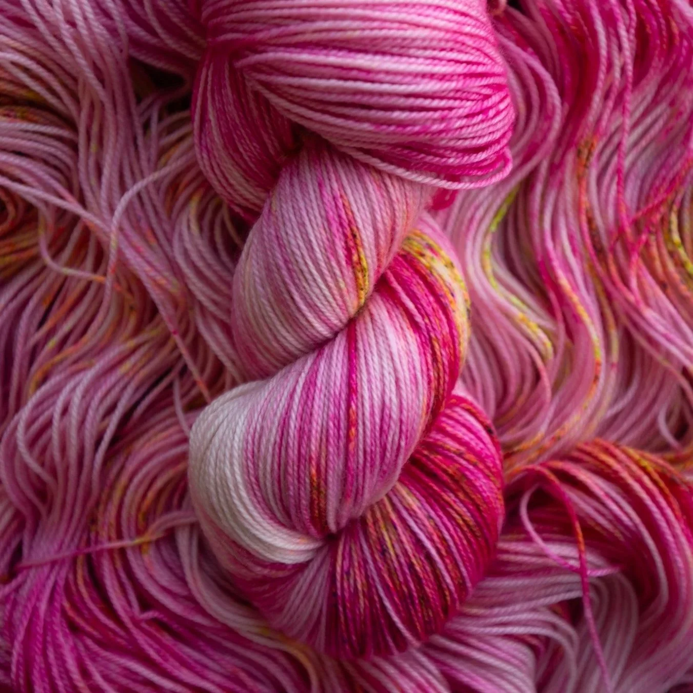 Swanky - Swanky Beaver