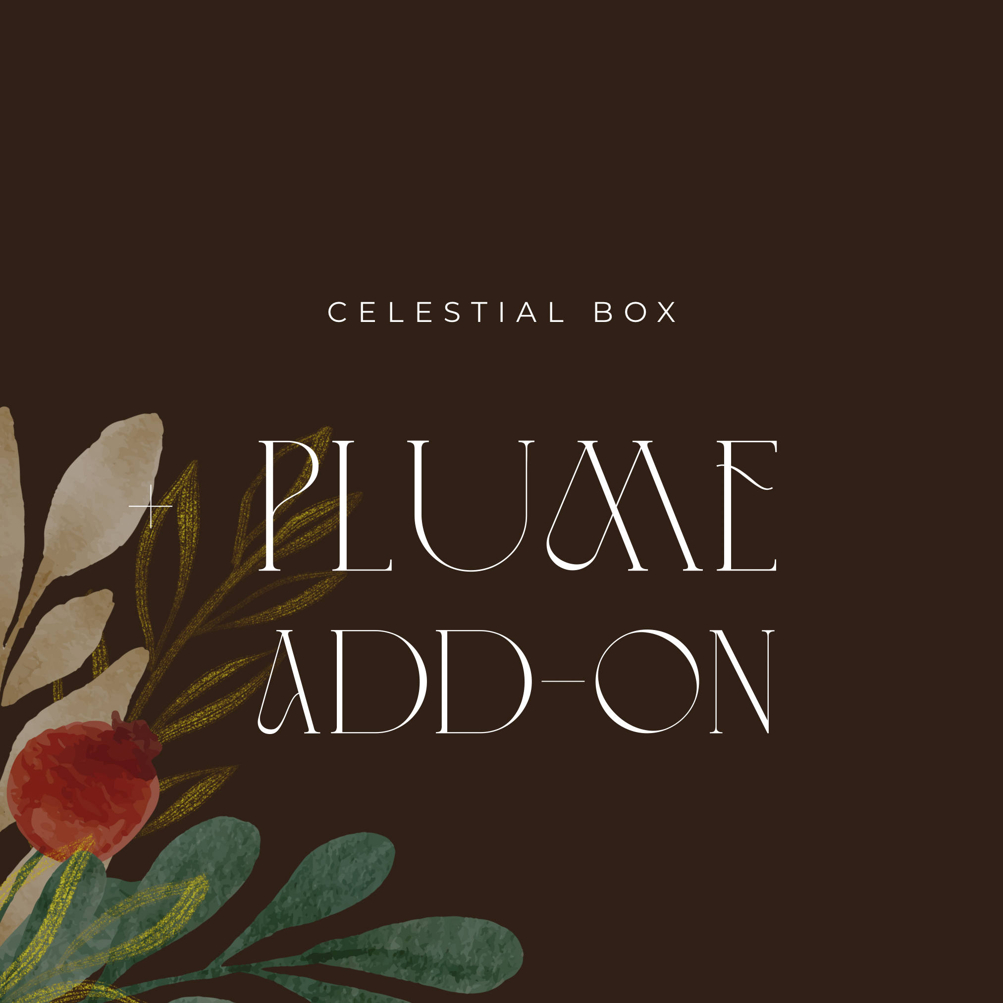 Copy of STAR GAZER LISTINGS.png