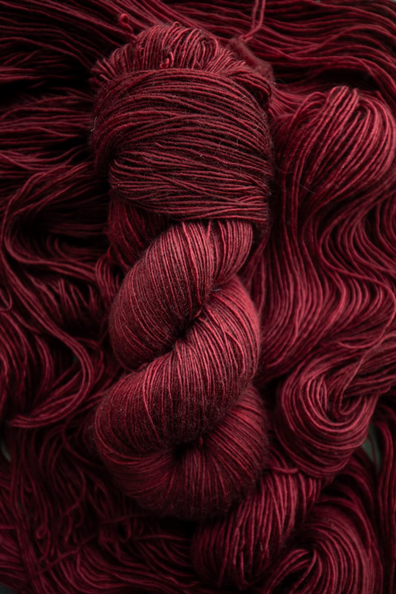 Solo - Single Beaver