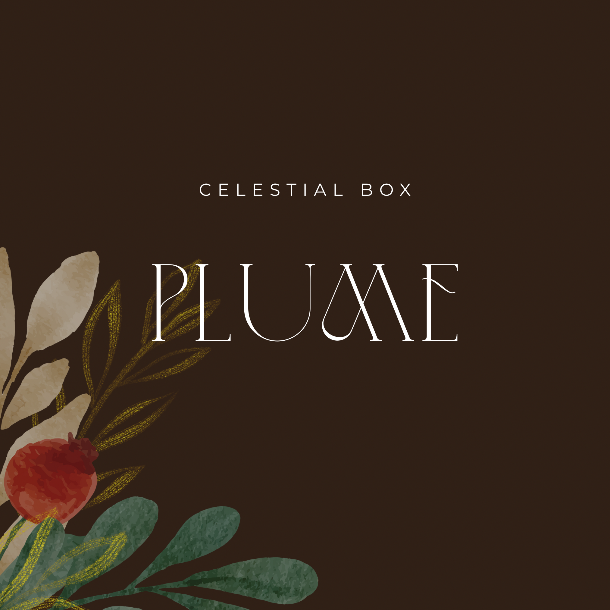 Copy of STAR GAZER LISTINGS - 3.png