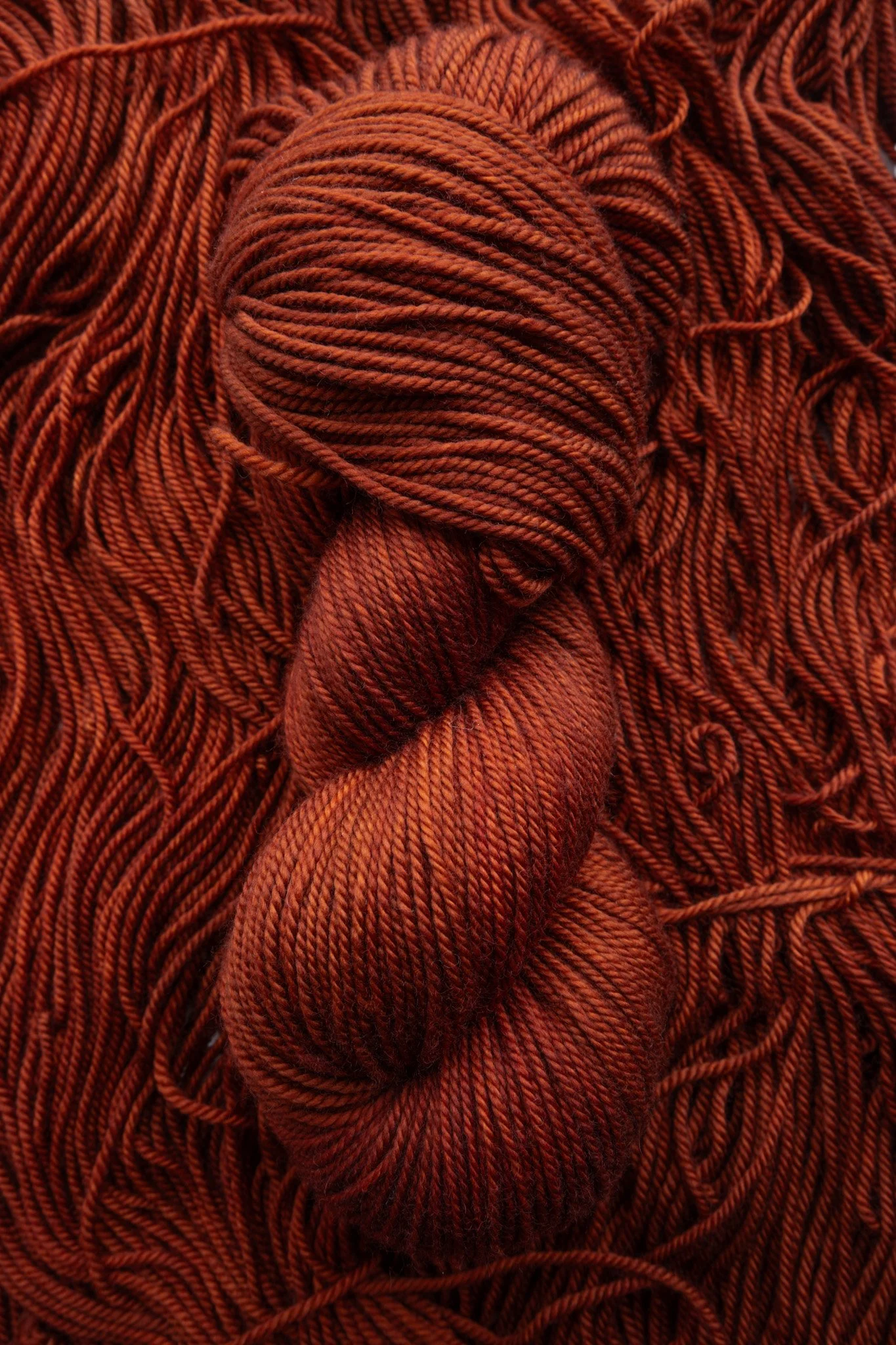 Tierra del Fuego - From the Vault