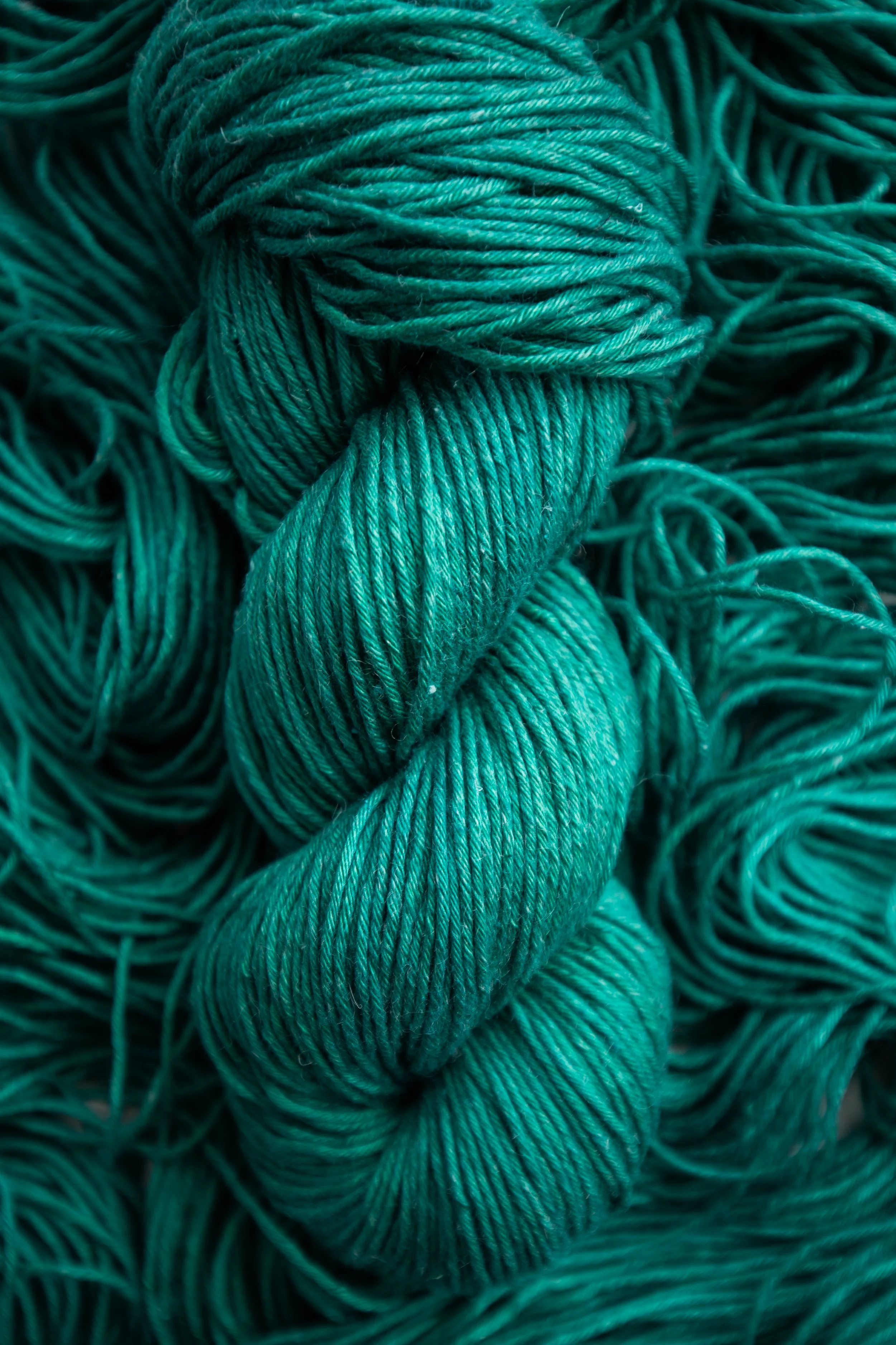 Dye Lot Rebel.jpg