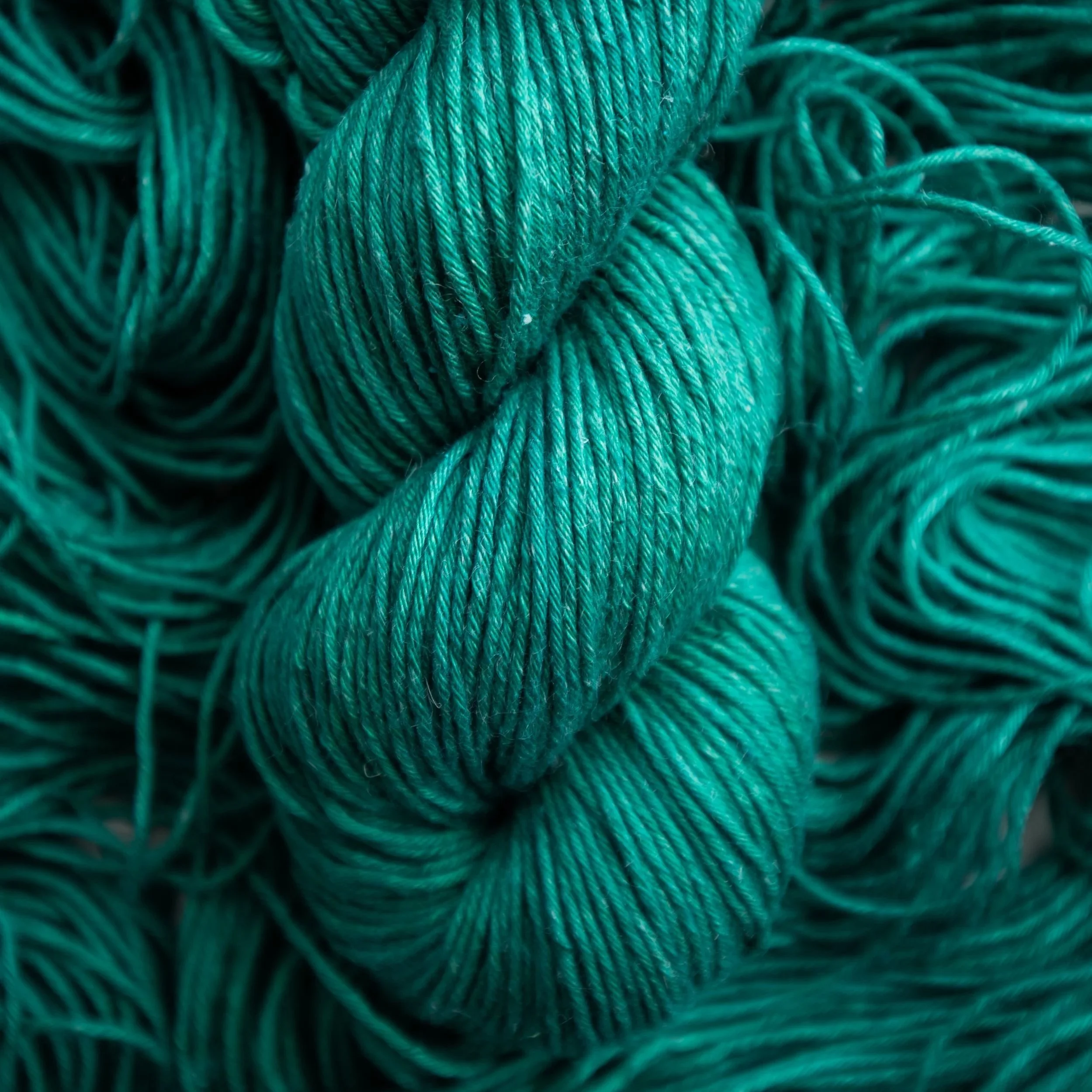 Dye+Lot+Rebel.jpg