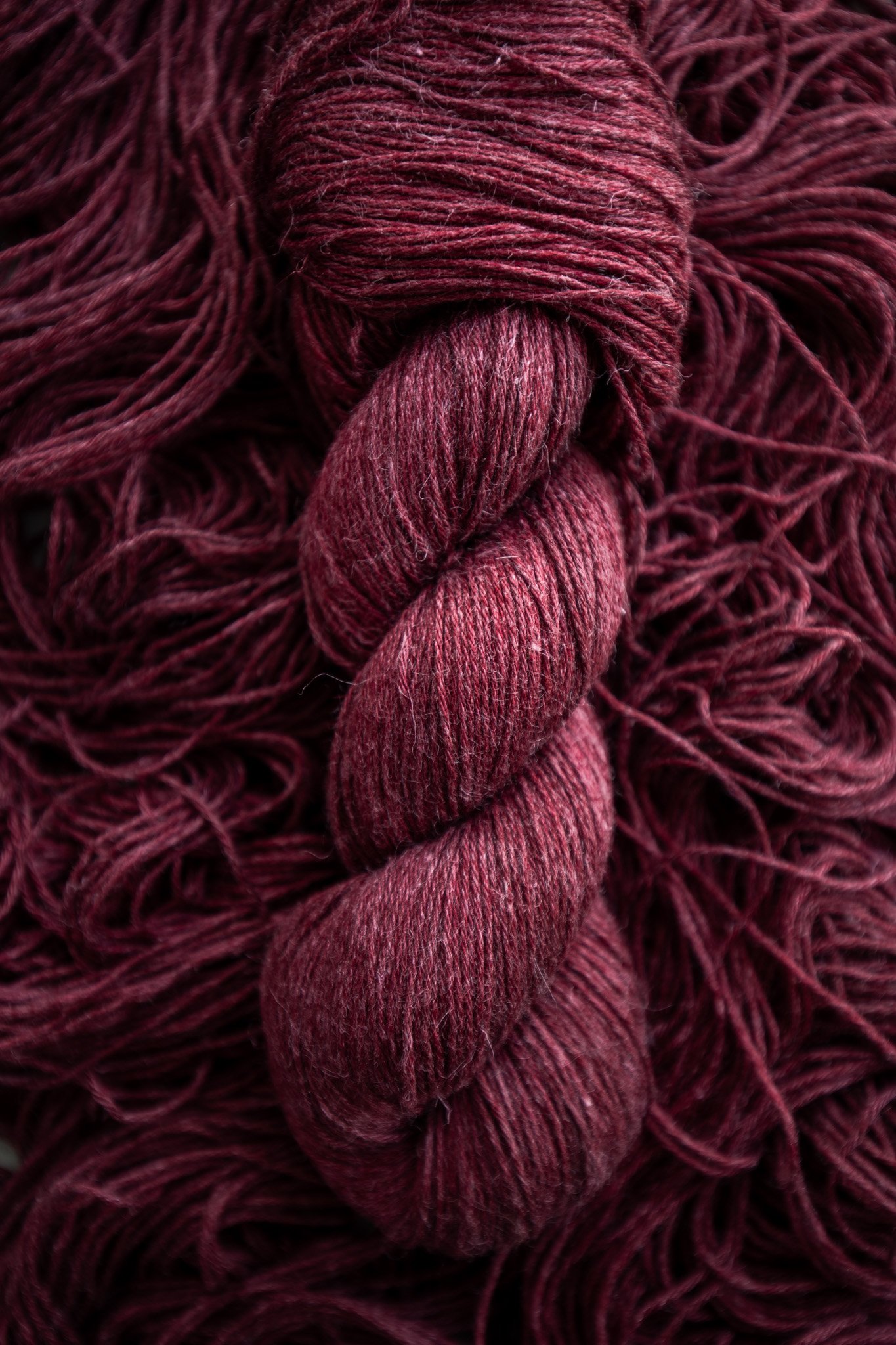 Equinox - Silky Beaver