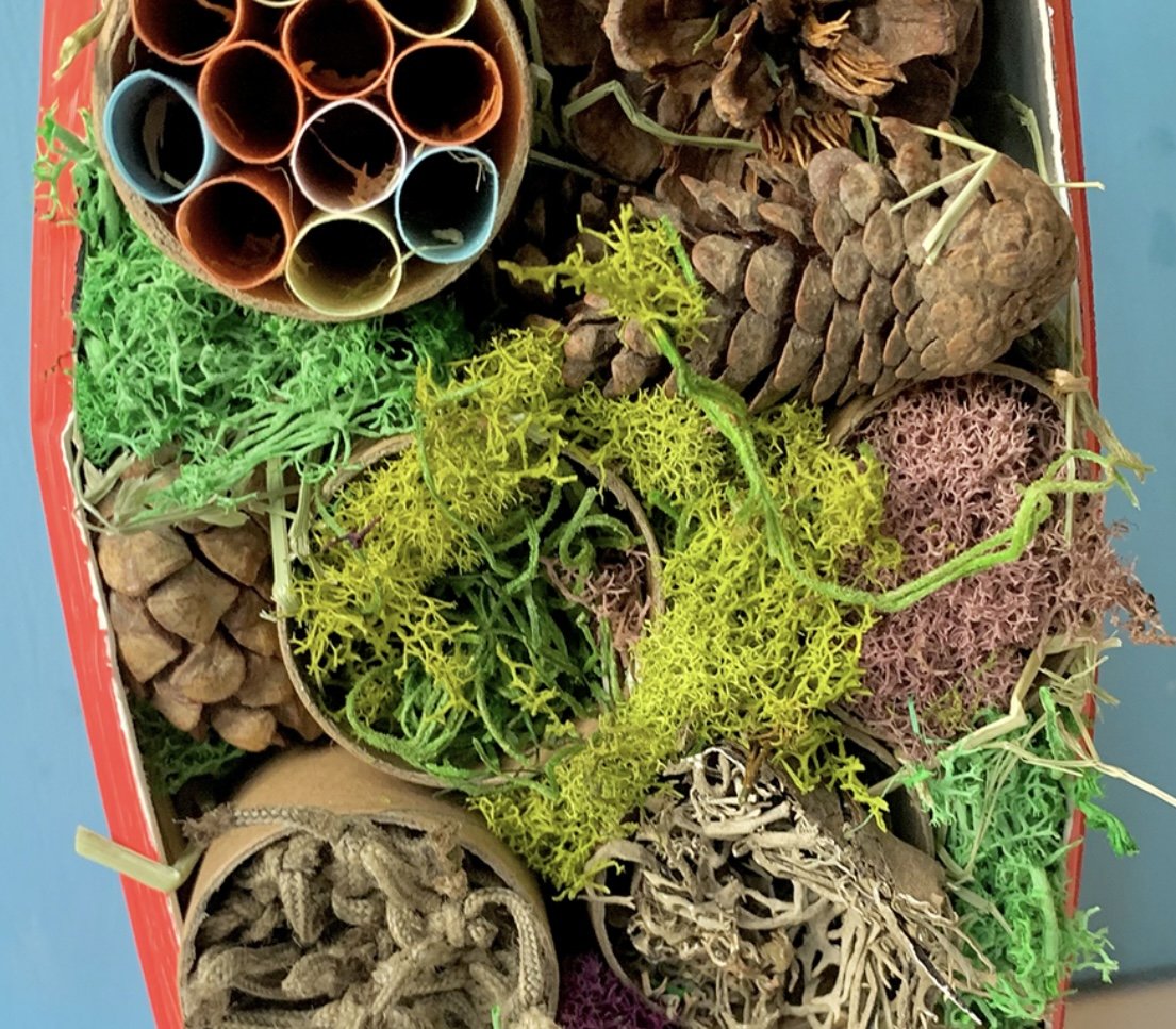 Gardening Camp