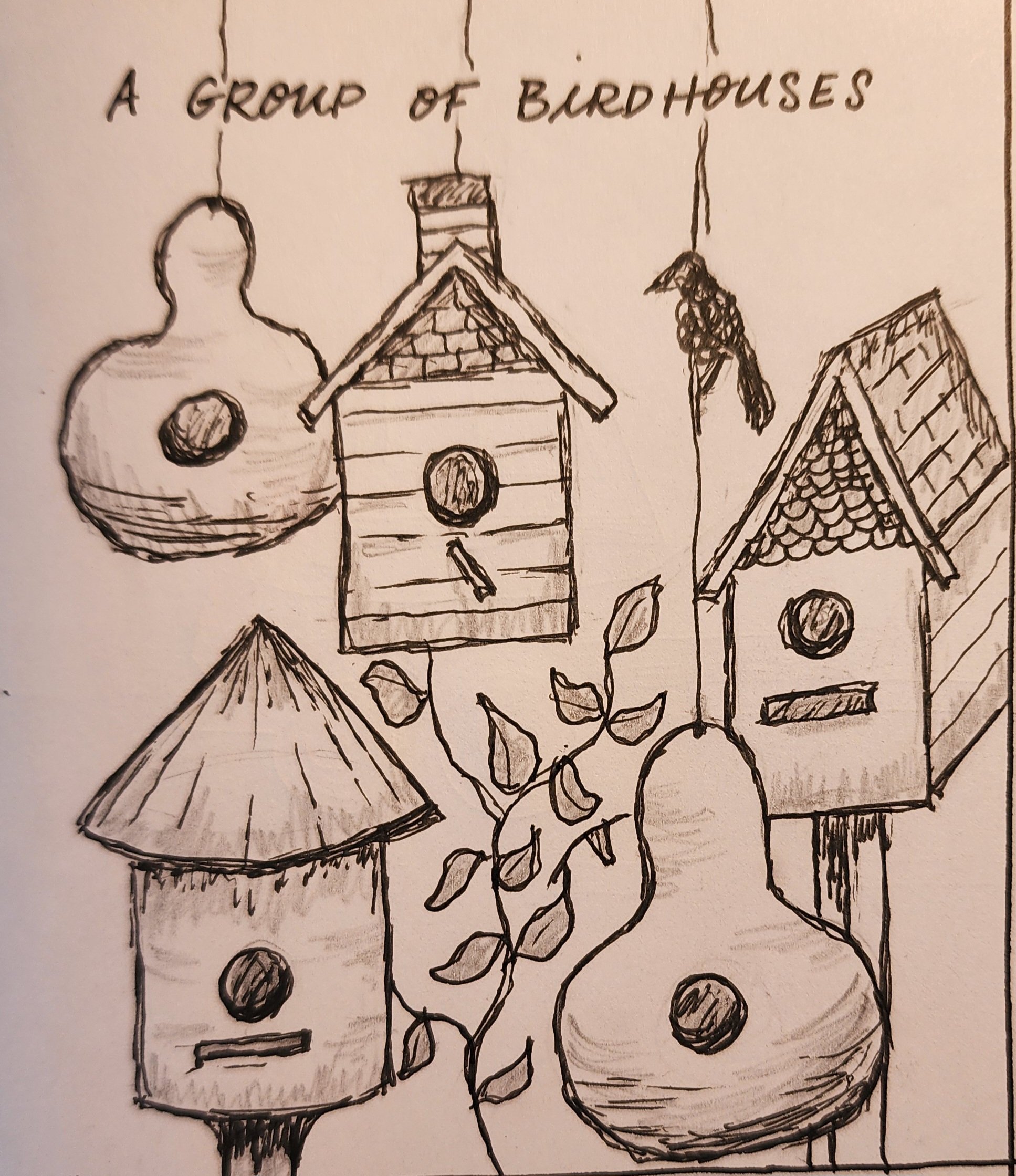 Drawing Skills Teen Camp