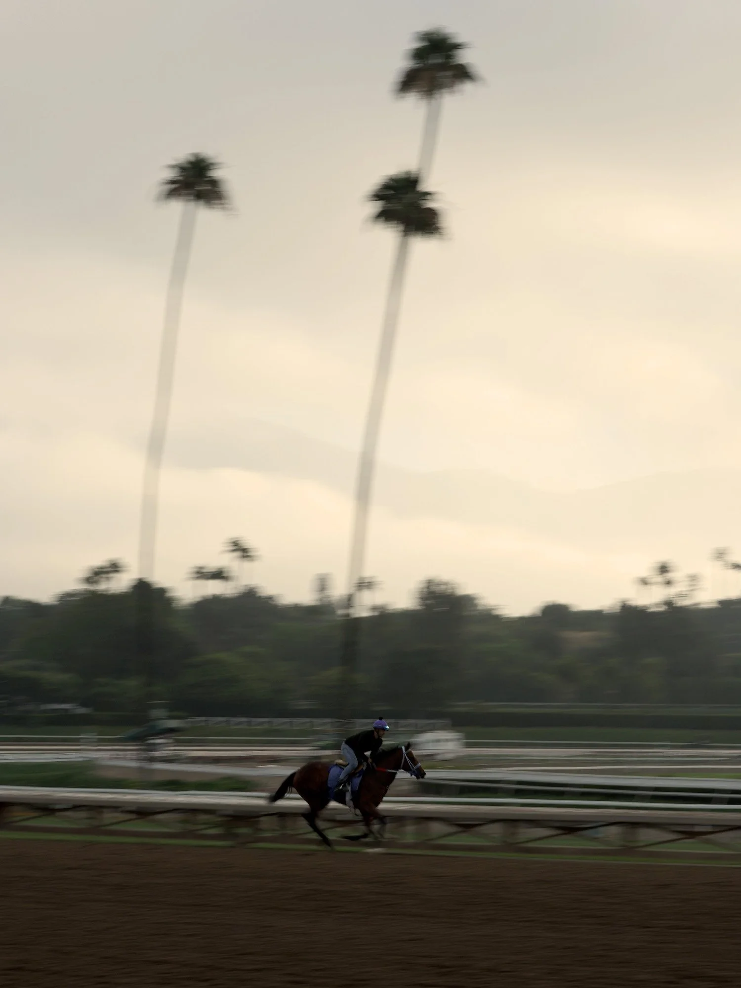 Santa Anita 6-4-26_0337 copy.jpg