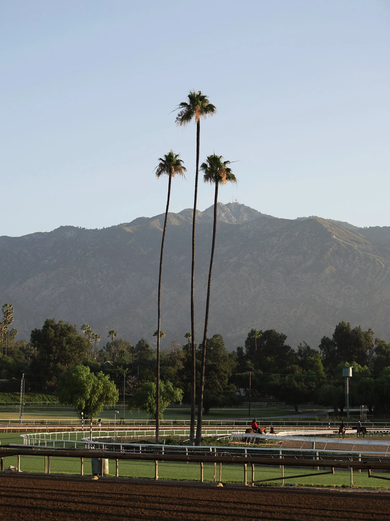 Santa Anita 5-21-26_0162 copy.jpg