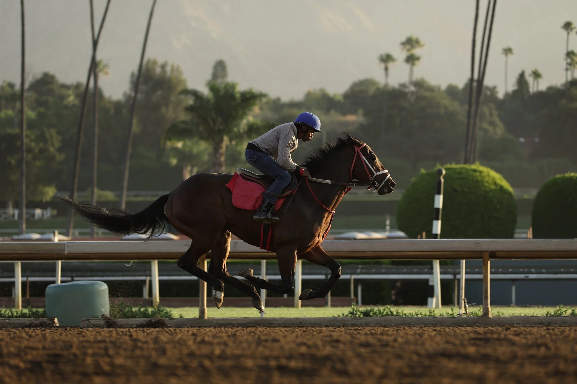 Santa Anita 5-21-26_0175 copy.jpg
