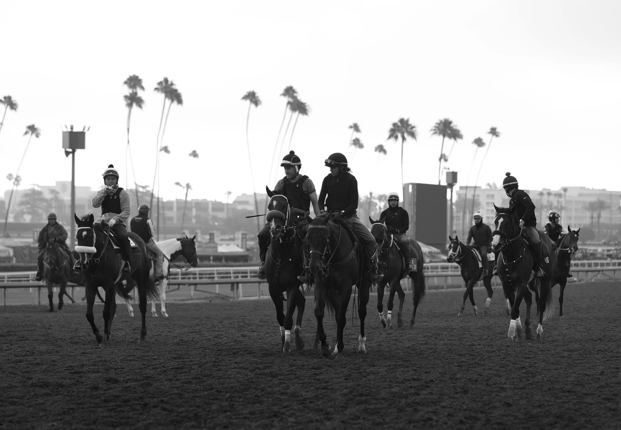Santa Anita 6-4-26_0535 copy.jpg