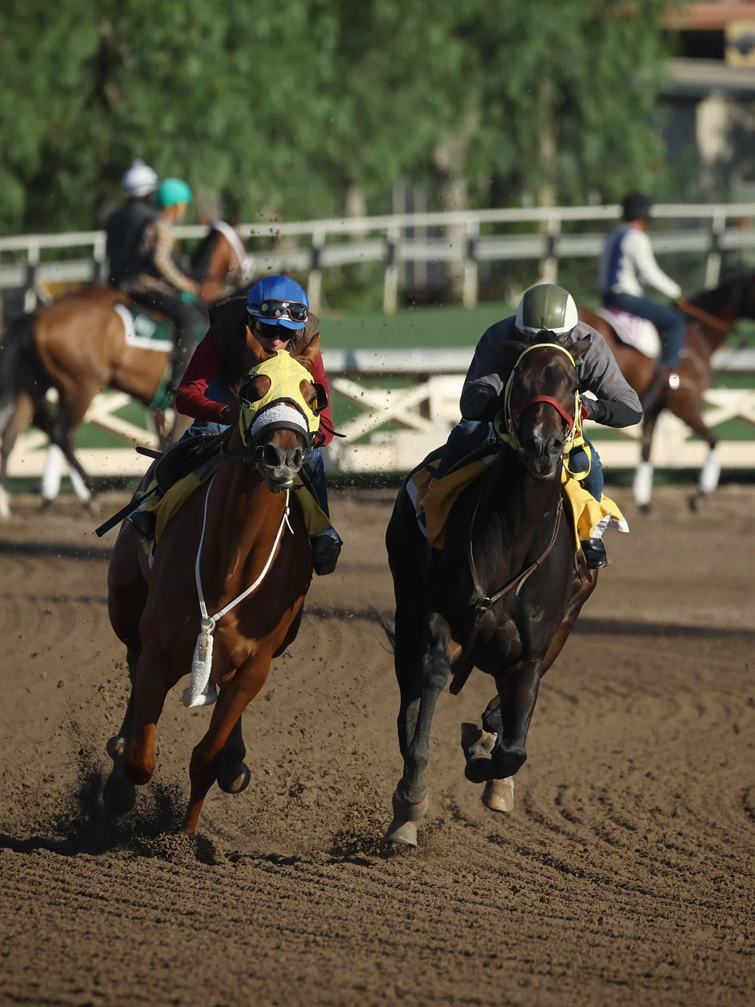 Santa Anita 5-20-26_0904 copy.jpg