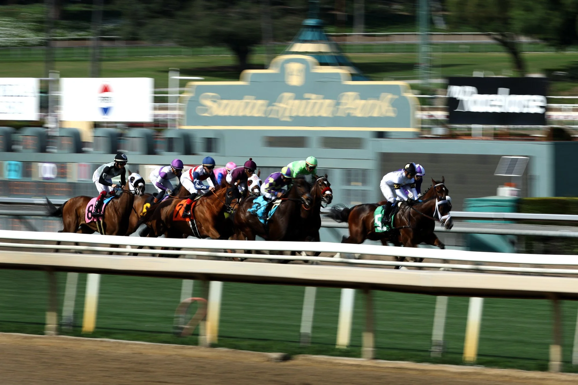Santa Anita 2026_0164 copy.jpg