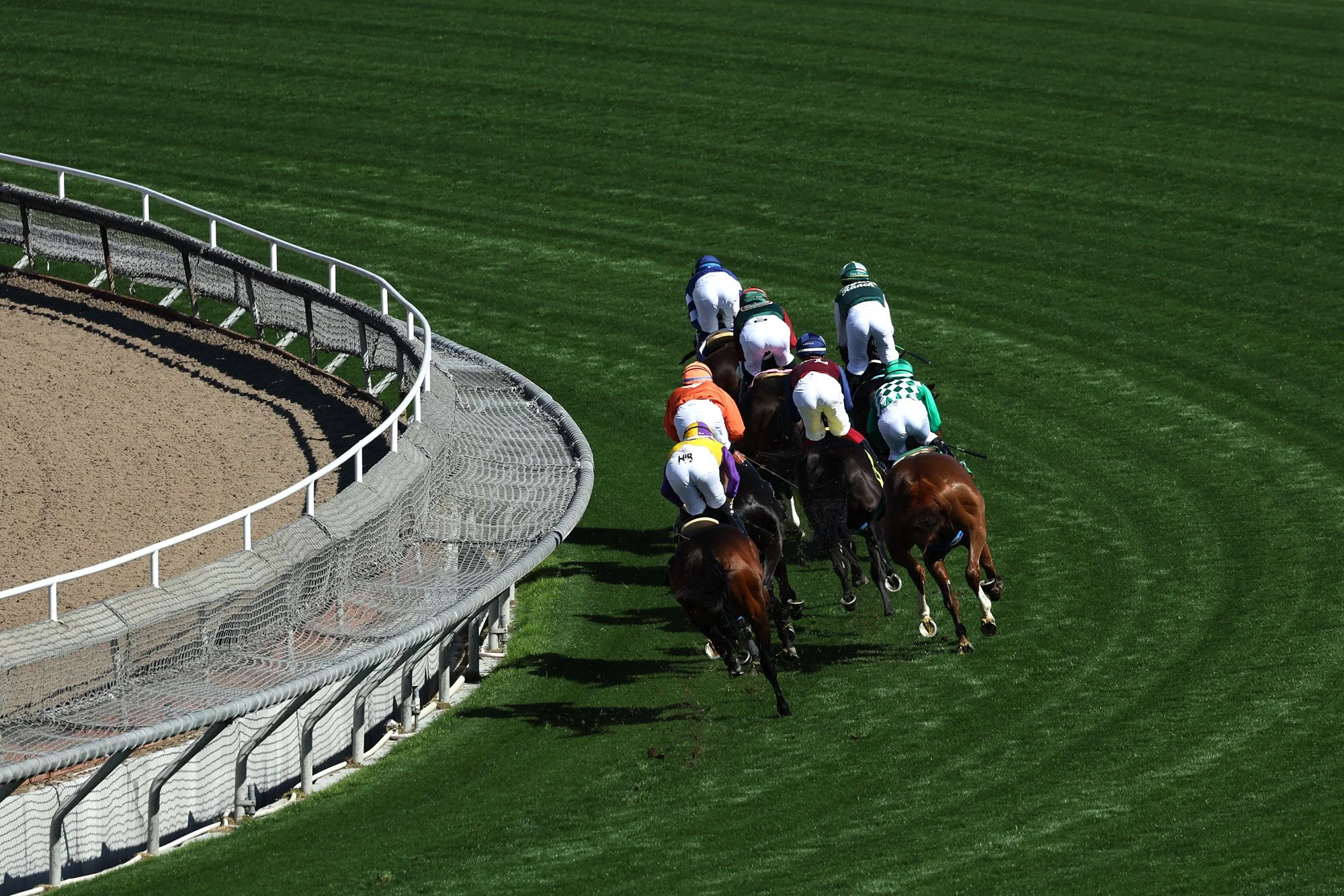 Santa Anita 2026_0058 copy.jpg
