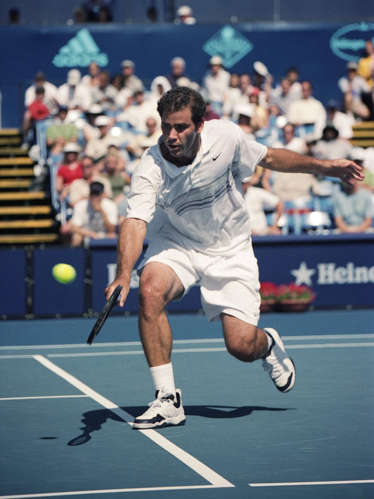 Sampras_0048 copy.jpg