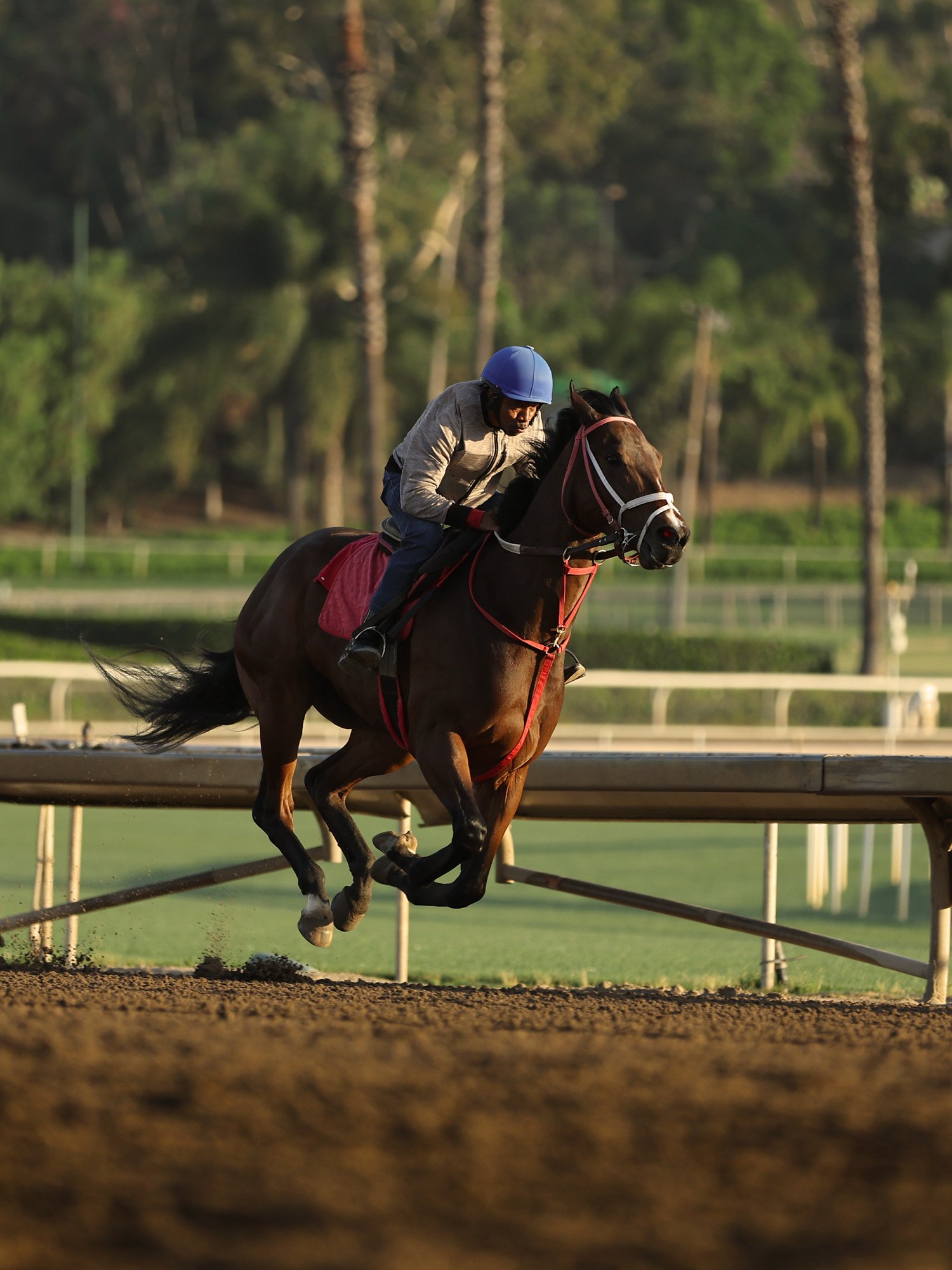 Santa Anita 5-21-26_0171 copy.jpg