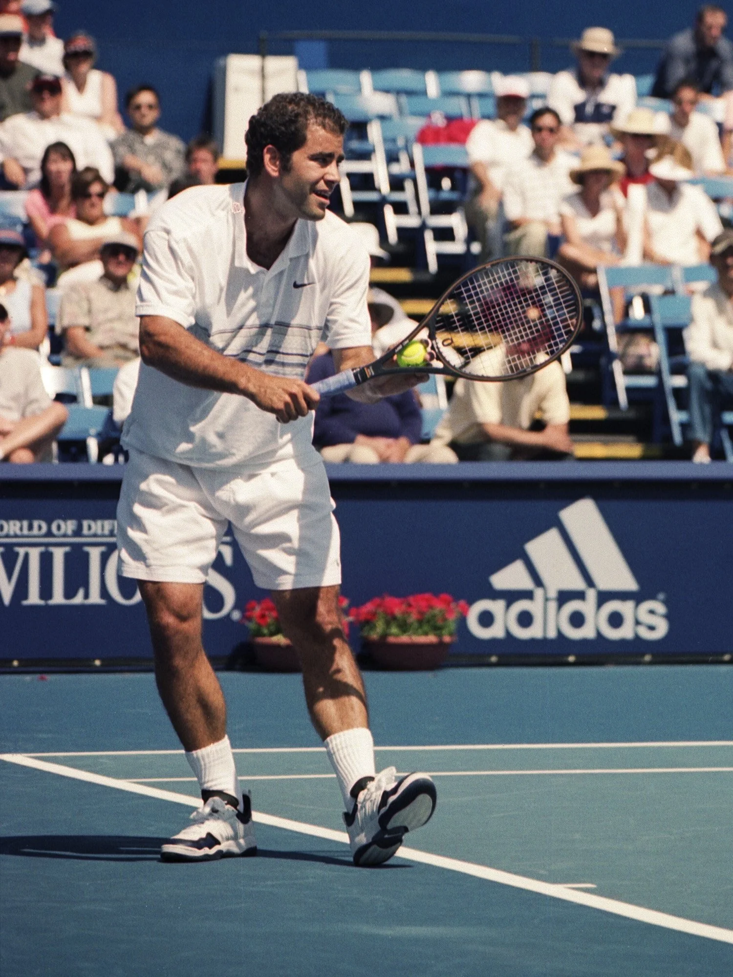 Sampras_0035 copy.jpg