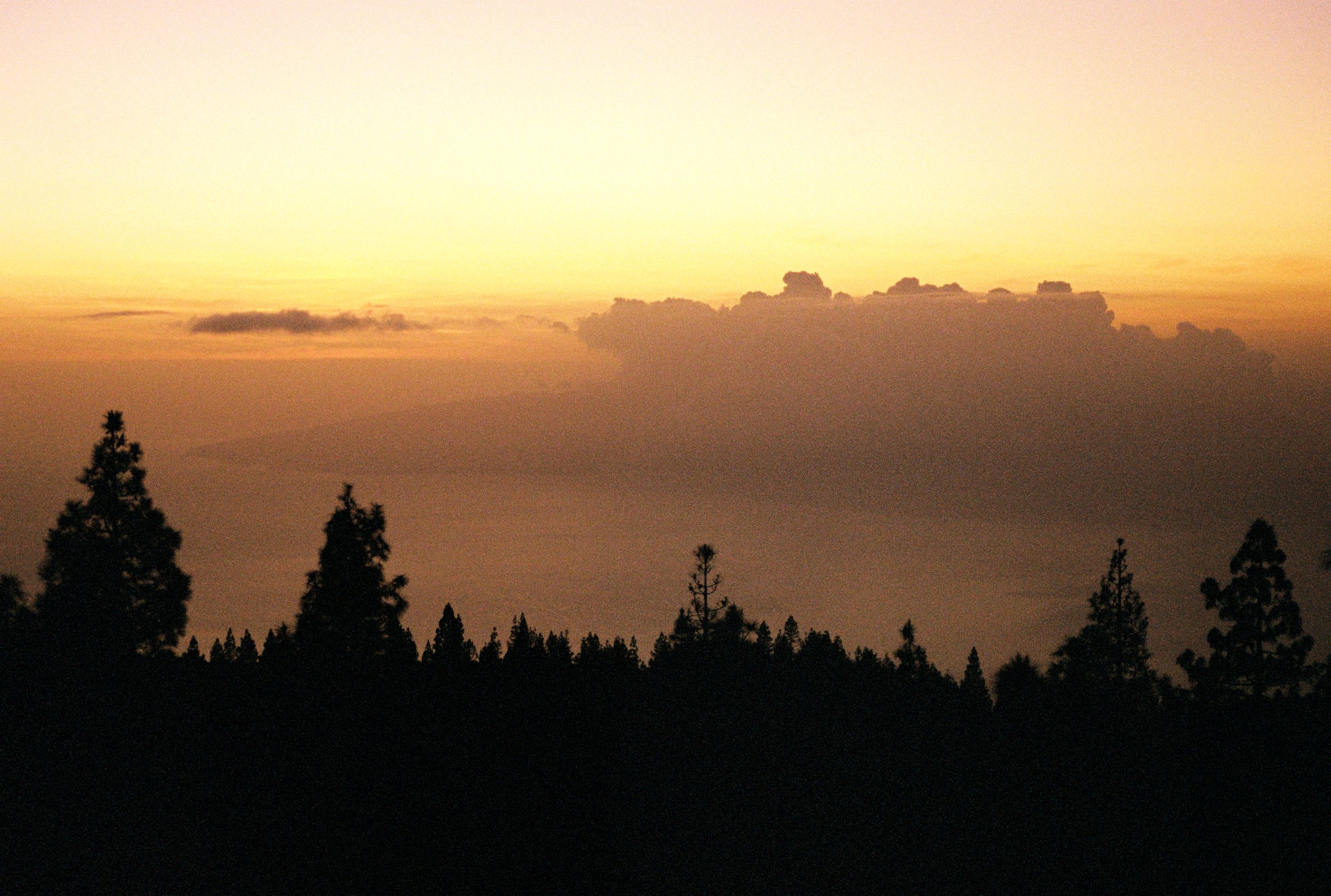 Tenerife