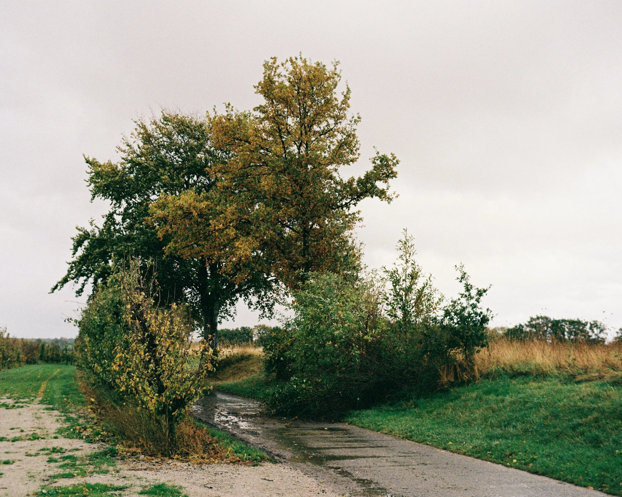 Halle-Booienhoven, Vlaams-Brabant, Belgium