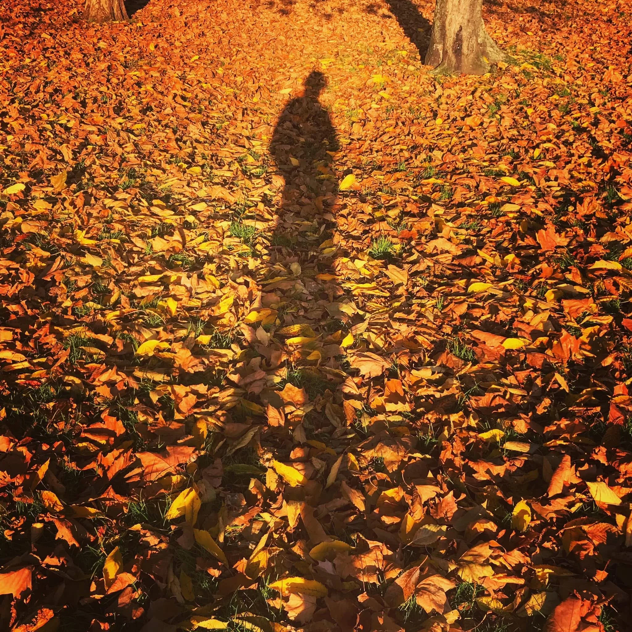 The Lights Are Back On