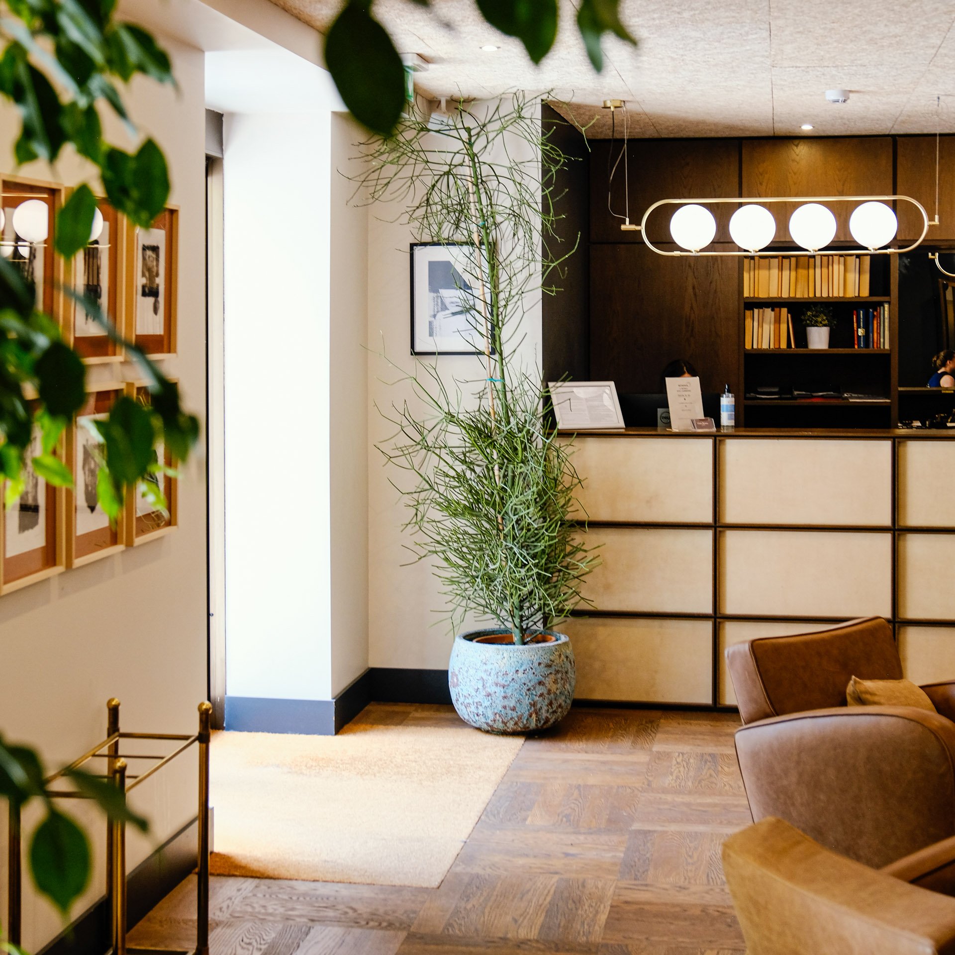 The Club House is a beautiful hotel located in Rome where I completely redesign every space of the structure; from the rooms to the public areas like breakfast room, reception, bar, lobby and terrace.