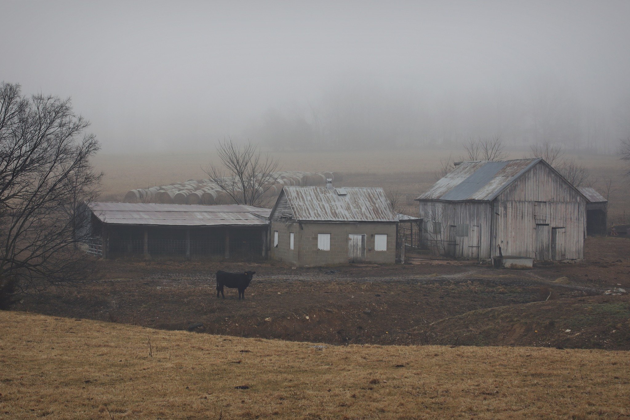 Nieder Farms Awarded Competitive Grant from the Sustainable Agriculture Research and Education (SARE) Program 