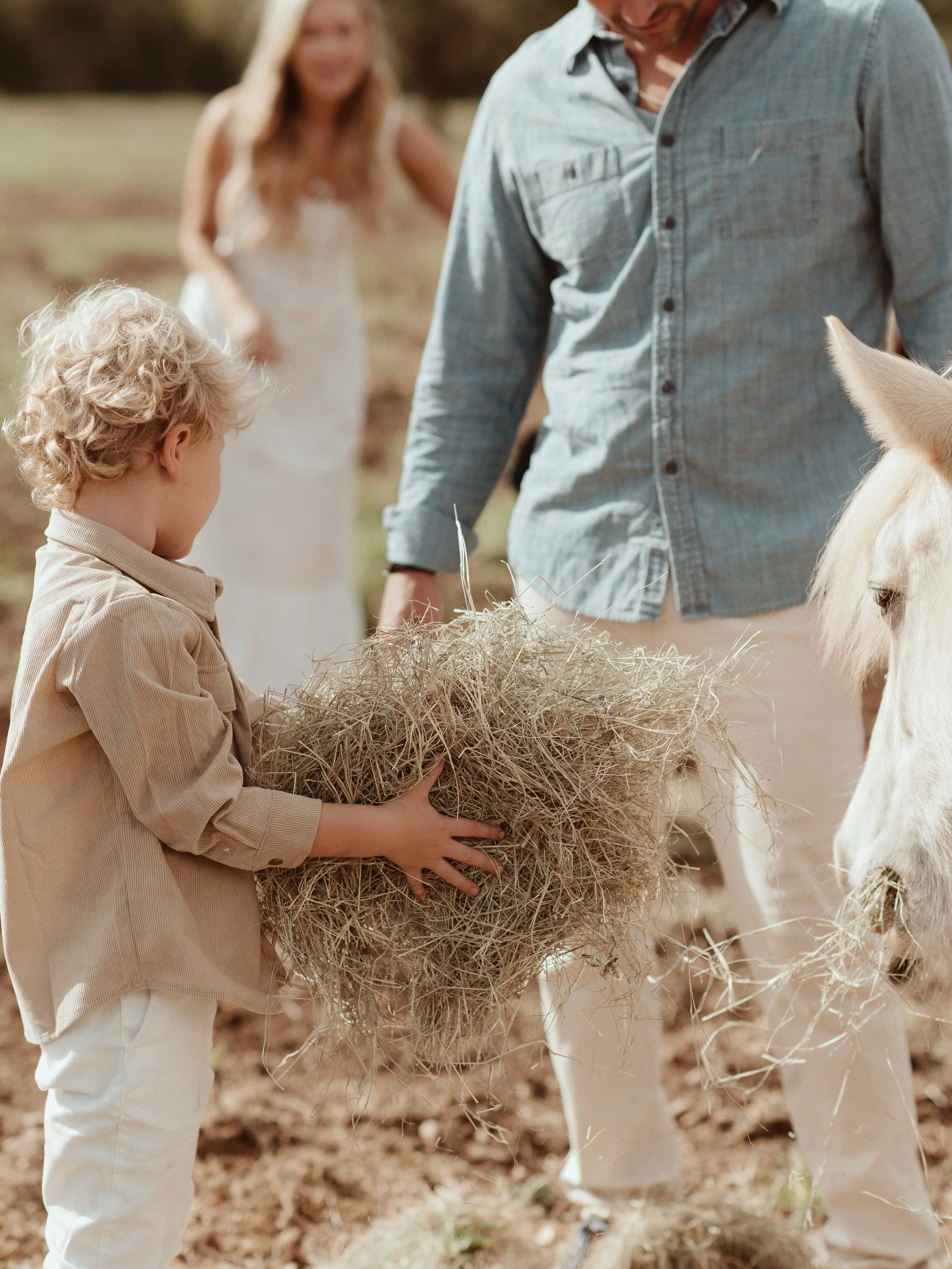 Being busy with fall family sessions means completely M.I.A. from social media. 🙃