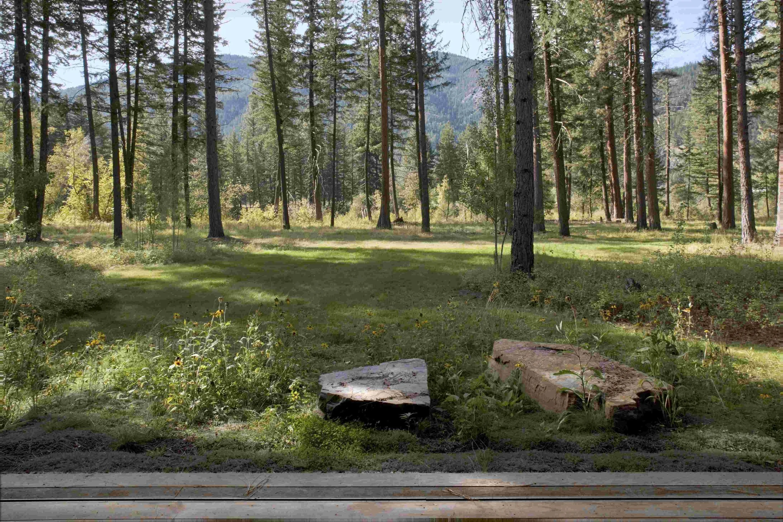 Designing with Constraint in Mazama