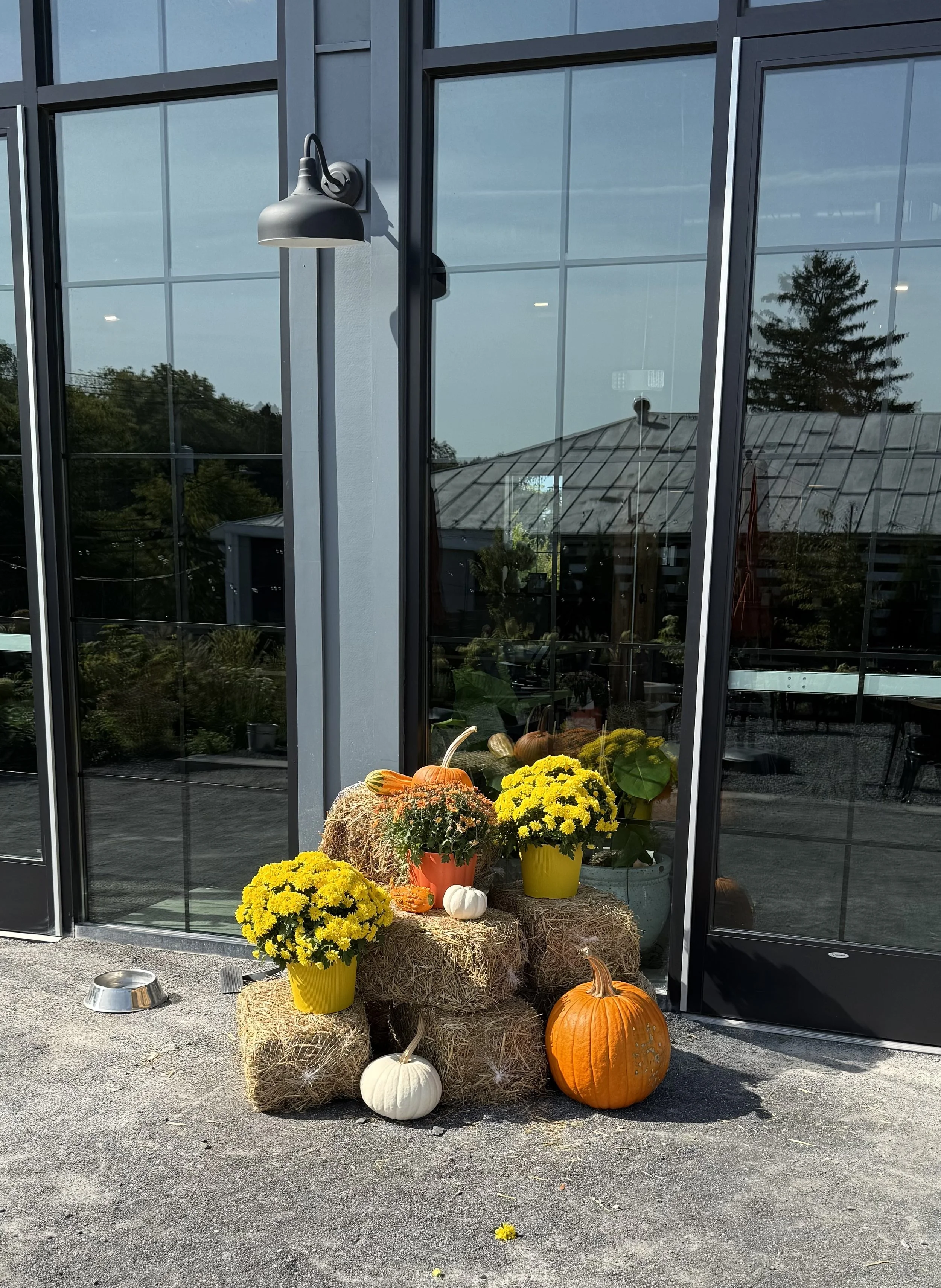 Seasonal decorations