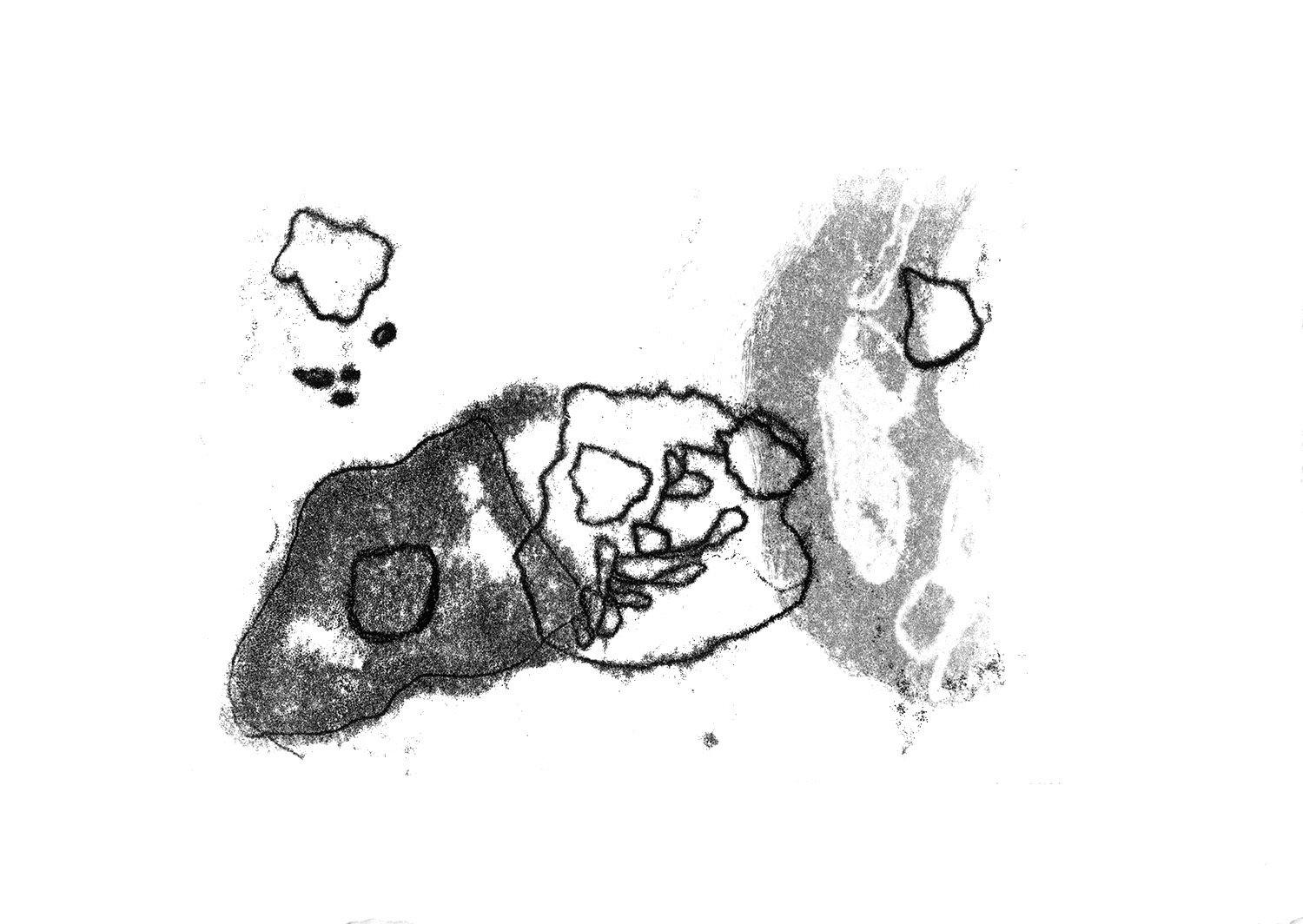 Pedras Fora de Ihéu I (Rocks Outside of the Island) 2021 5 x 7 inches Trace Monotype