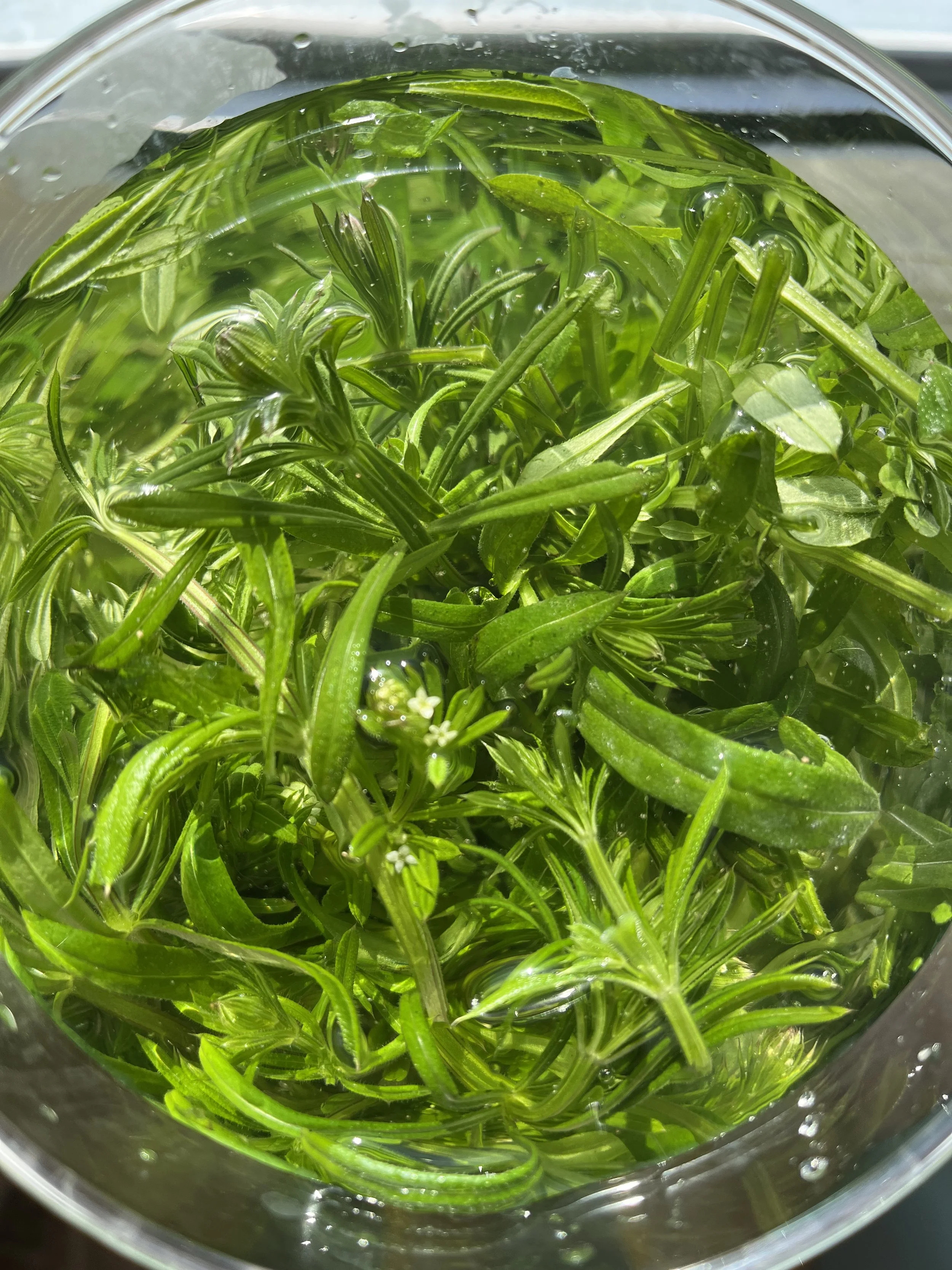 cleaver water — wyld clwb