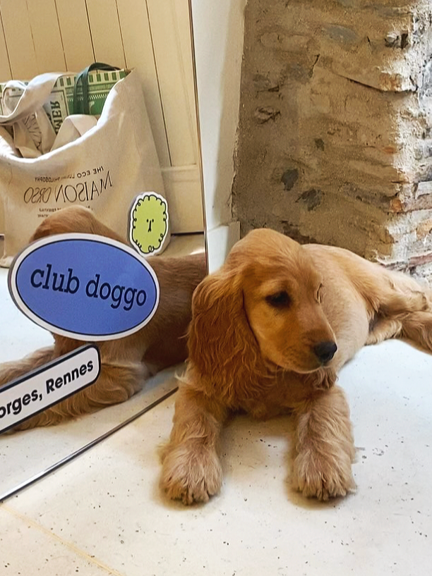 CLUB-DOGGO-BOUTIQUE.png