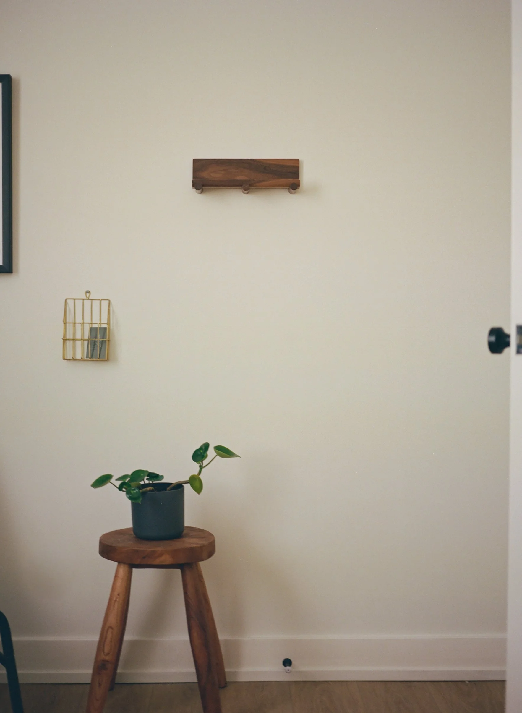A small pothos plant on a stool in a Guelph therapy office offering couples counselling