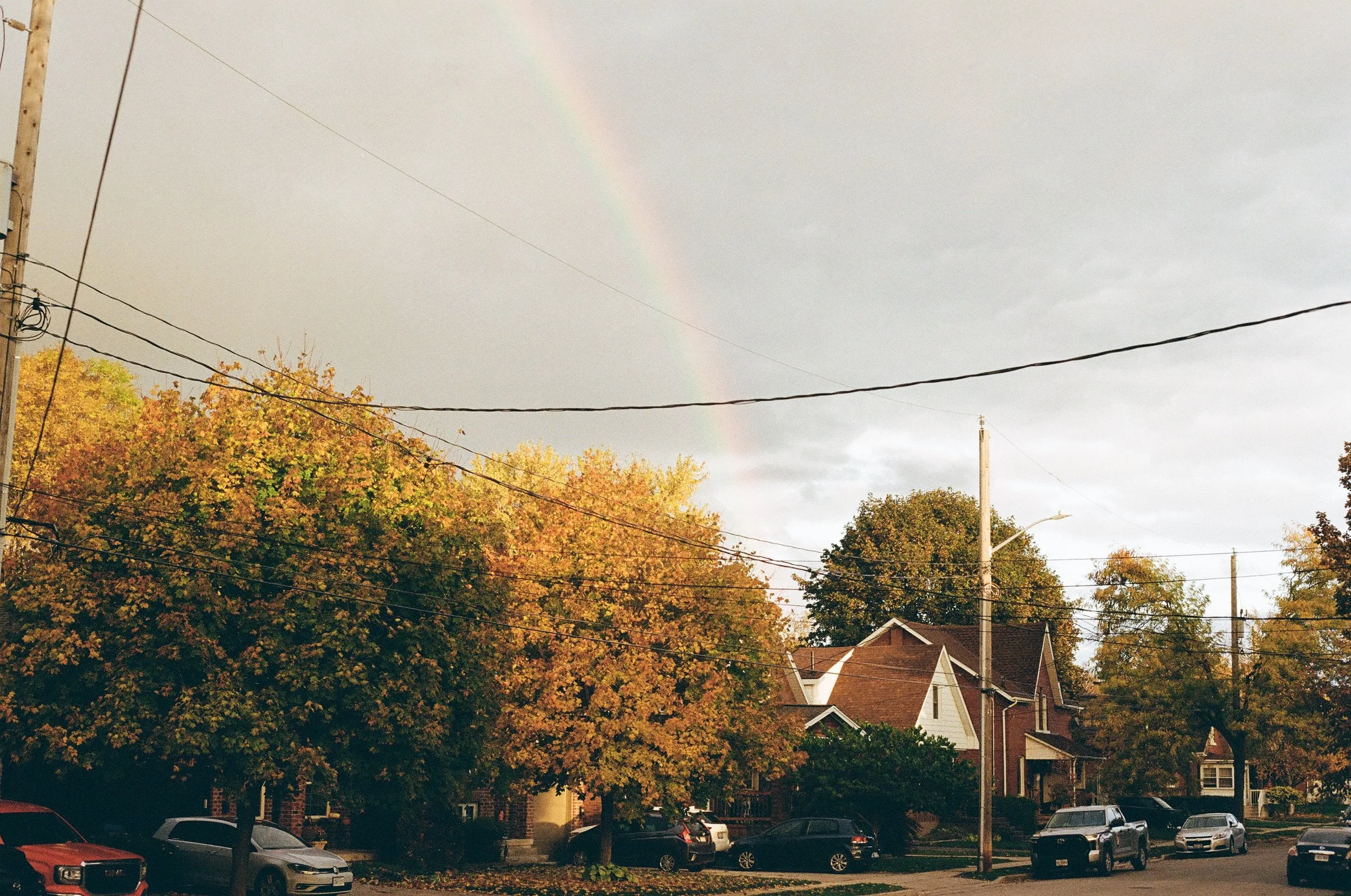 A rainbow over two houses for LGBTQ+ affirming therapy in Guelph and Alberta