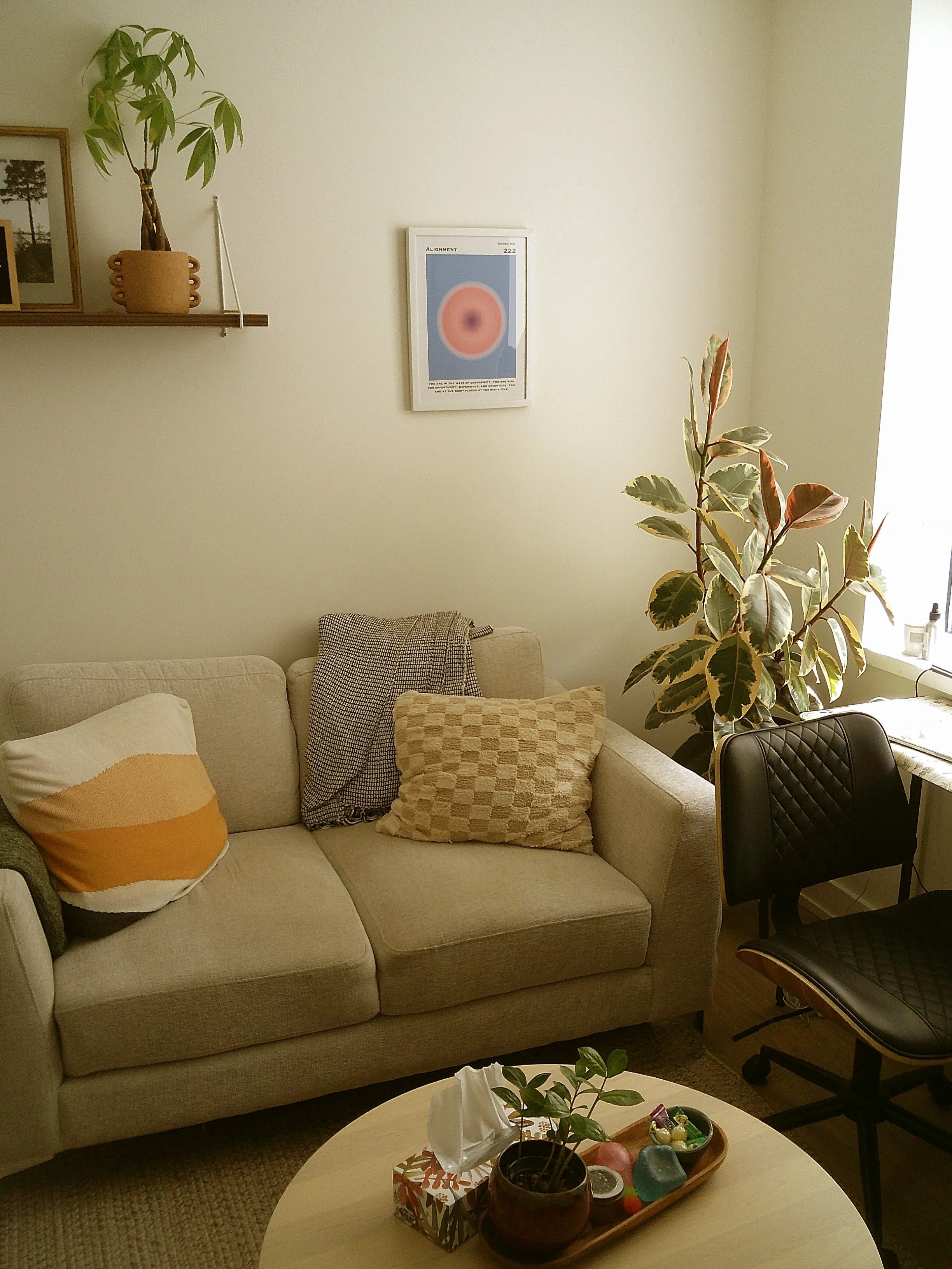 A boho Alberta therapy office with a couch and plants for teen therapy in Guelph