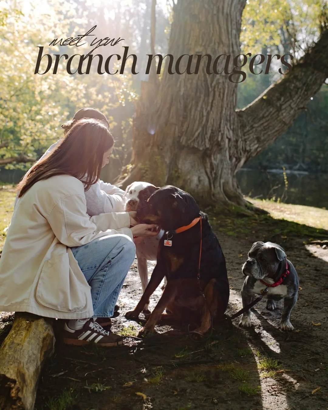 meet your certified branch managers at Golden Horizons 🪵🪵🪵

I&rsquo;ve never been one to have any clue what I wanted my life to be, no plan of what I wanted to do when I &ldquo;grew up&rdquo;, but the one thing that has stayed the same since I was