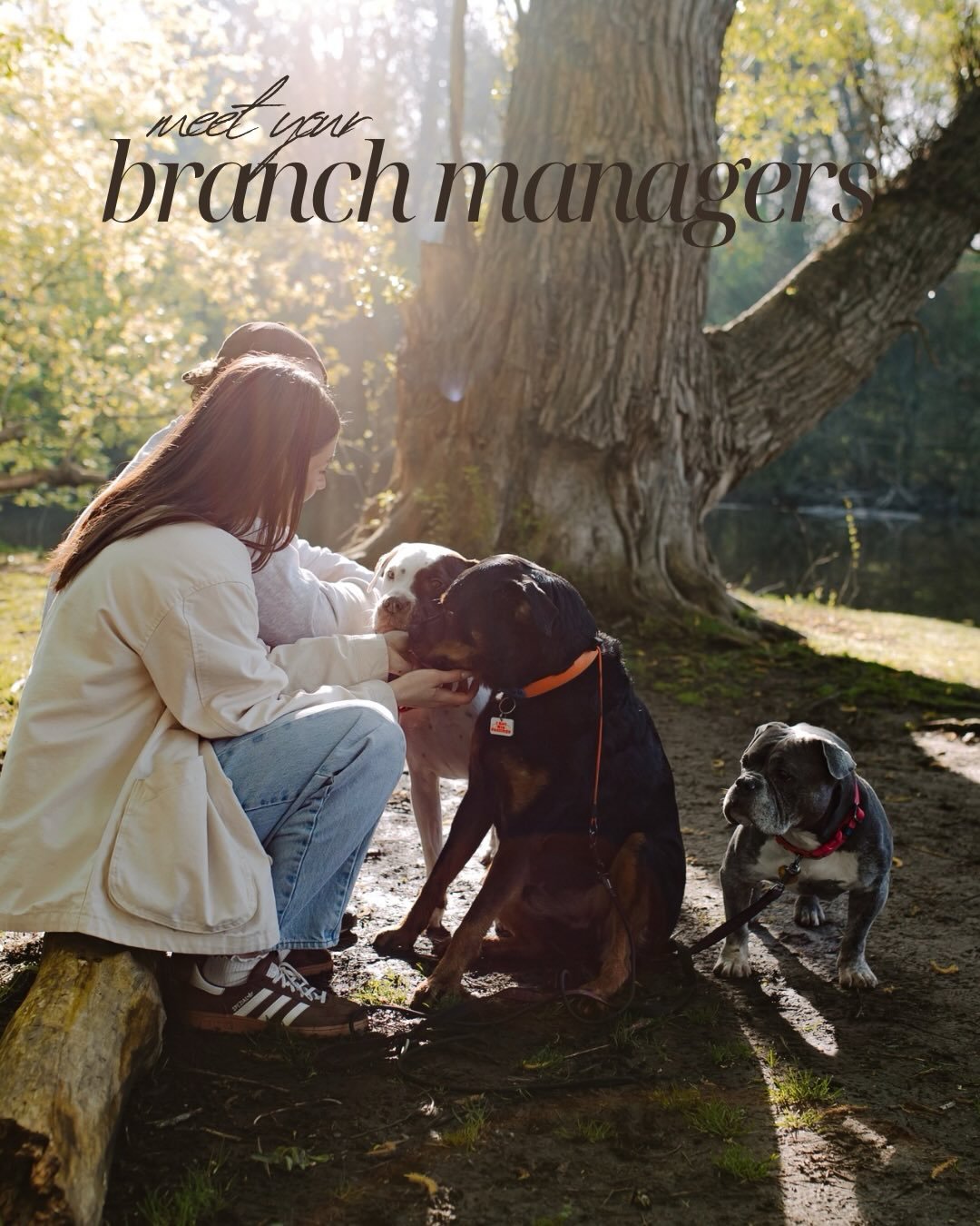 meet your certified branch managers at Golden Horizons 🪵🪵🪵

I&rsquo;ve never been one to have any clue what I wanted my life to be, no plan of what I wanted to do when I &ldquo;grew up&rdquo;, but the one thing that has stayed the same since I was