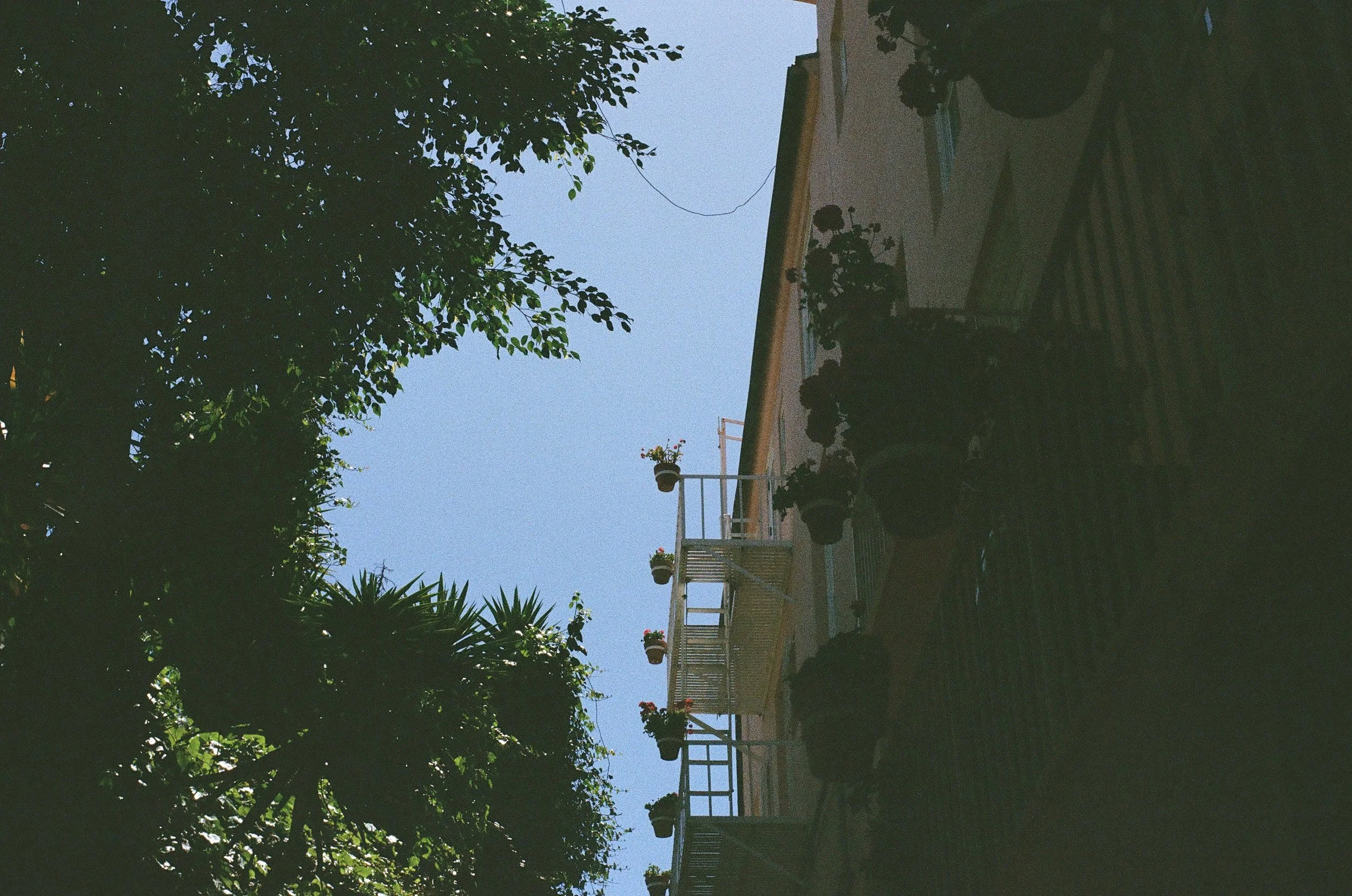 Film photo of blue sky and balconies with plants of an office in downtown Guelph providing grief counselling