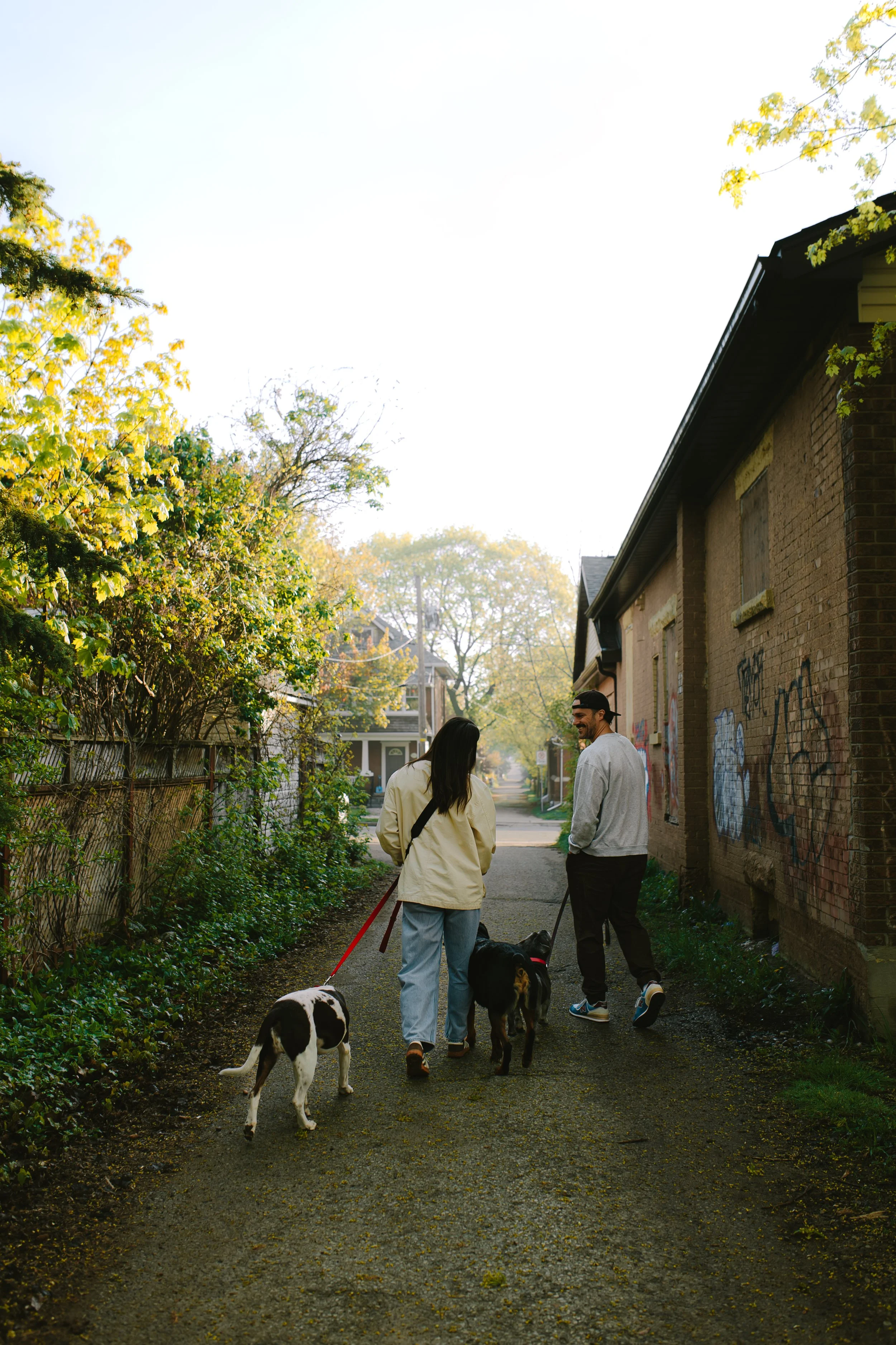 A Guelph trauma therapist walking with her husband and 3 dogs in Ontario