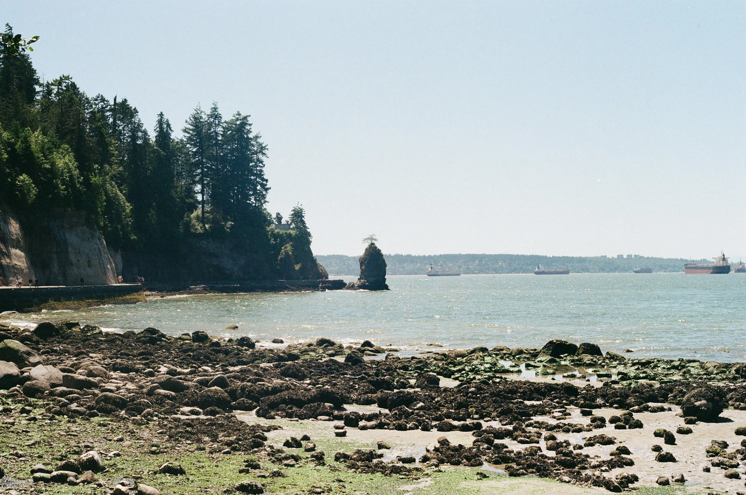 A calming rocky lakeshore in Alberta giving the same effects as therapy in Guelph