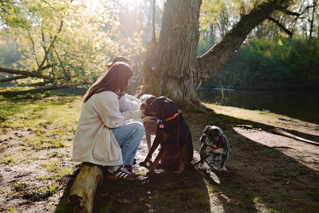 A Guelph OCD therapist sitting on a log with her husband and 3 dogs in Ontario