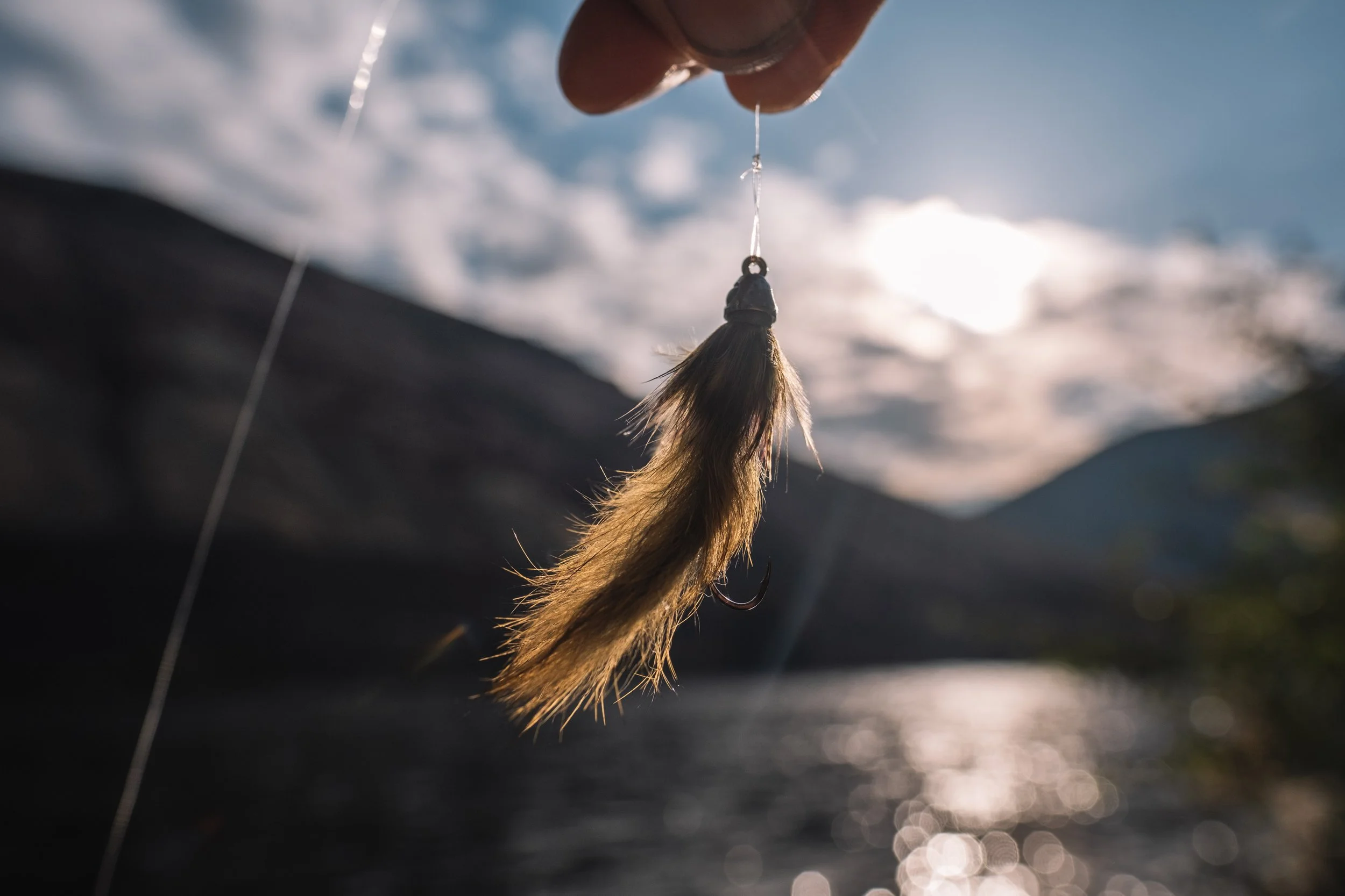 Fish 1.jpg