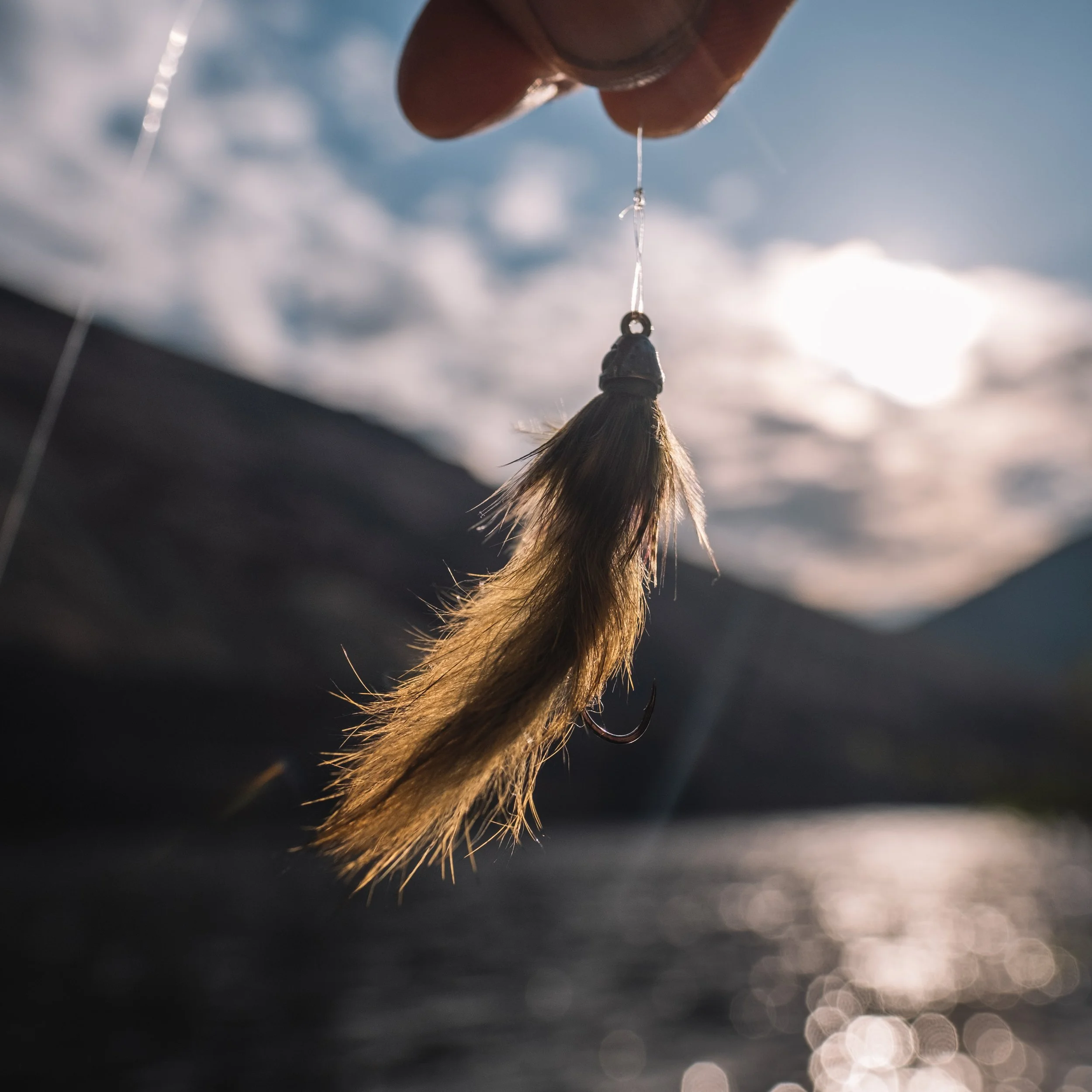 Trout Spey