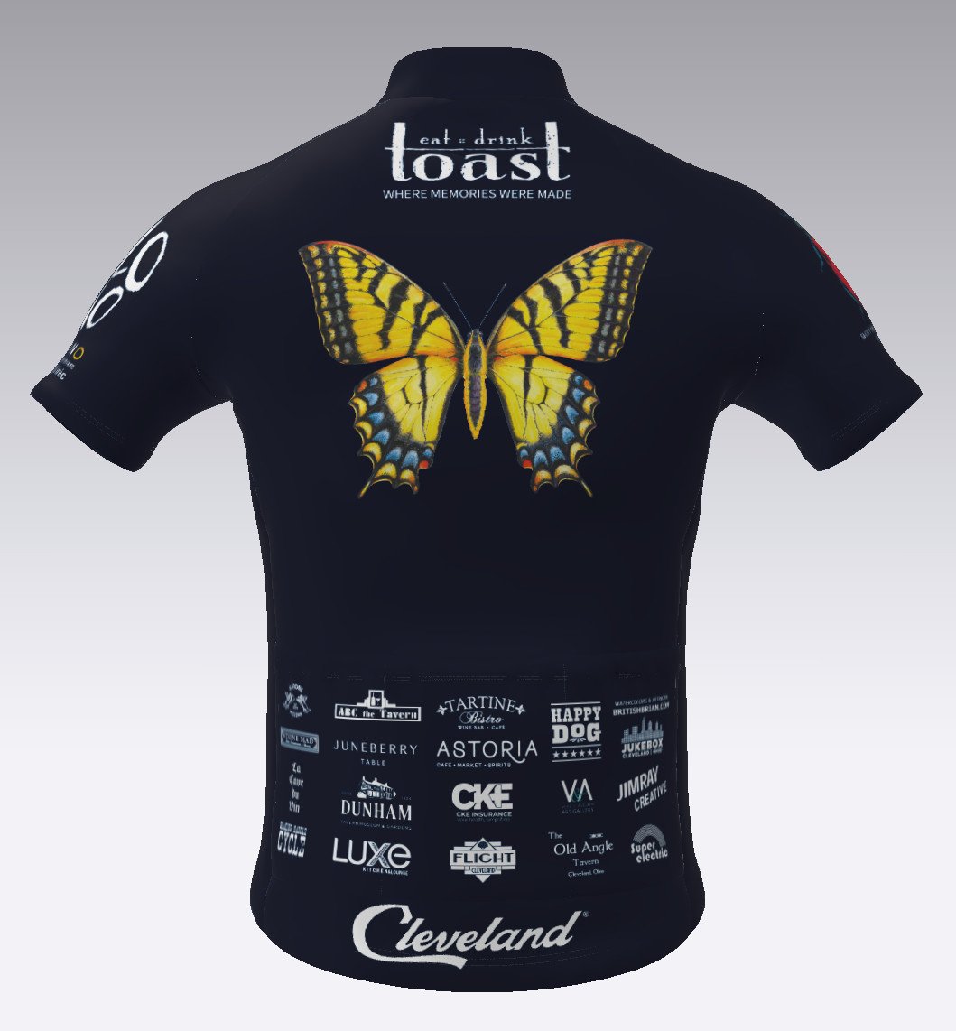 TEAM VELO VINO cycling jersey - back