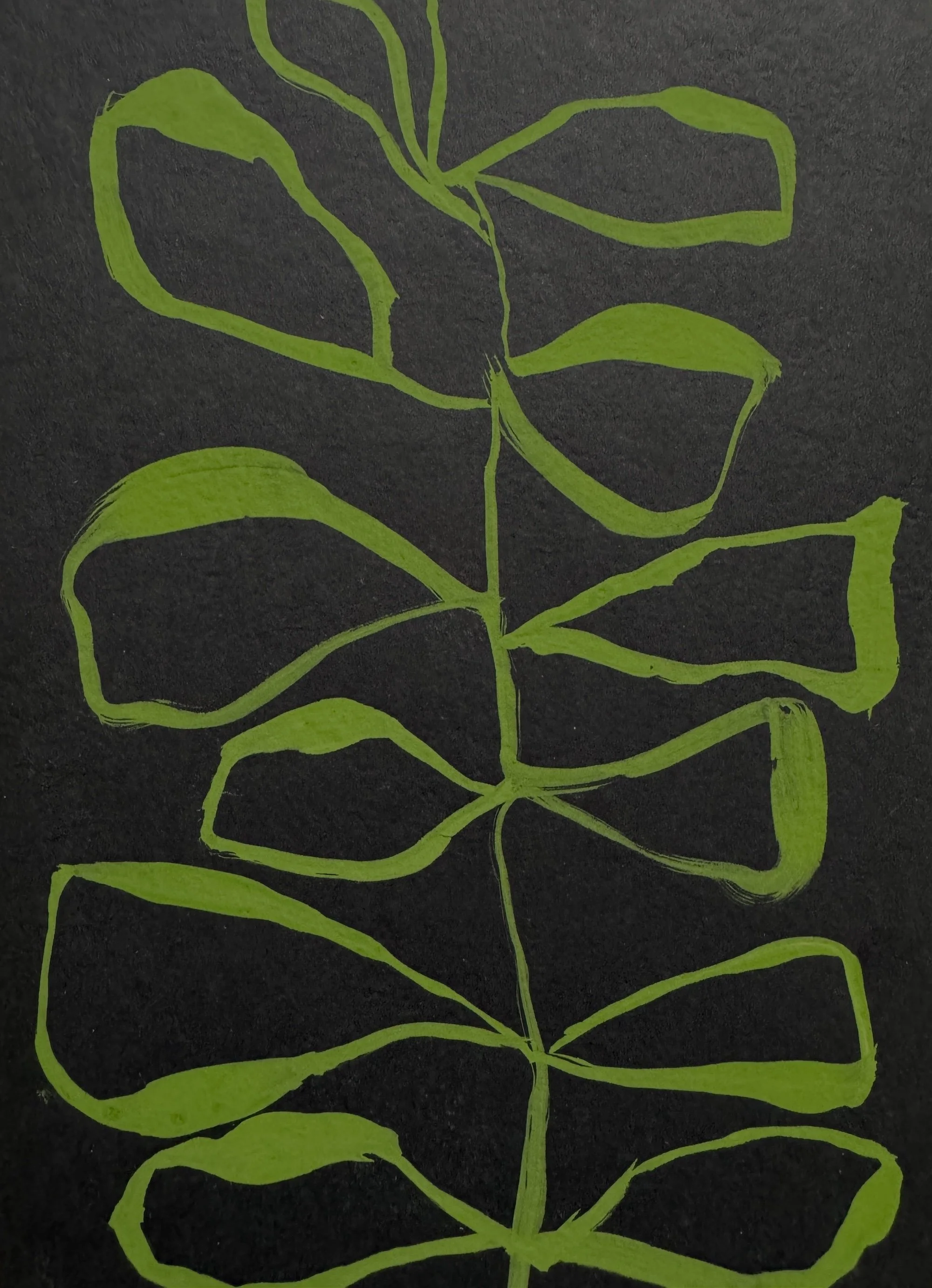 FullSizeRender 2.JPG