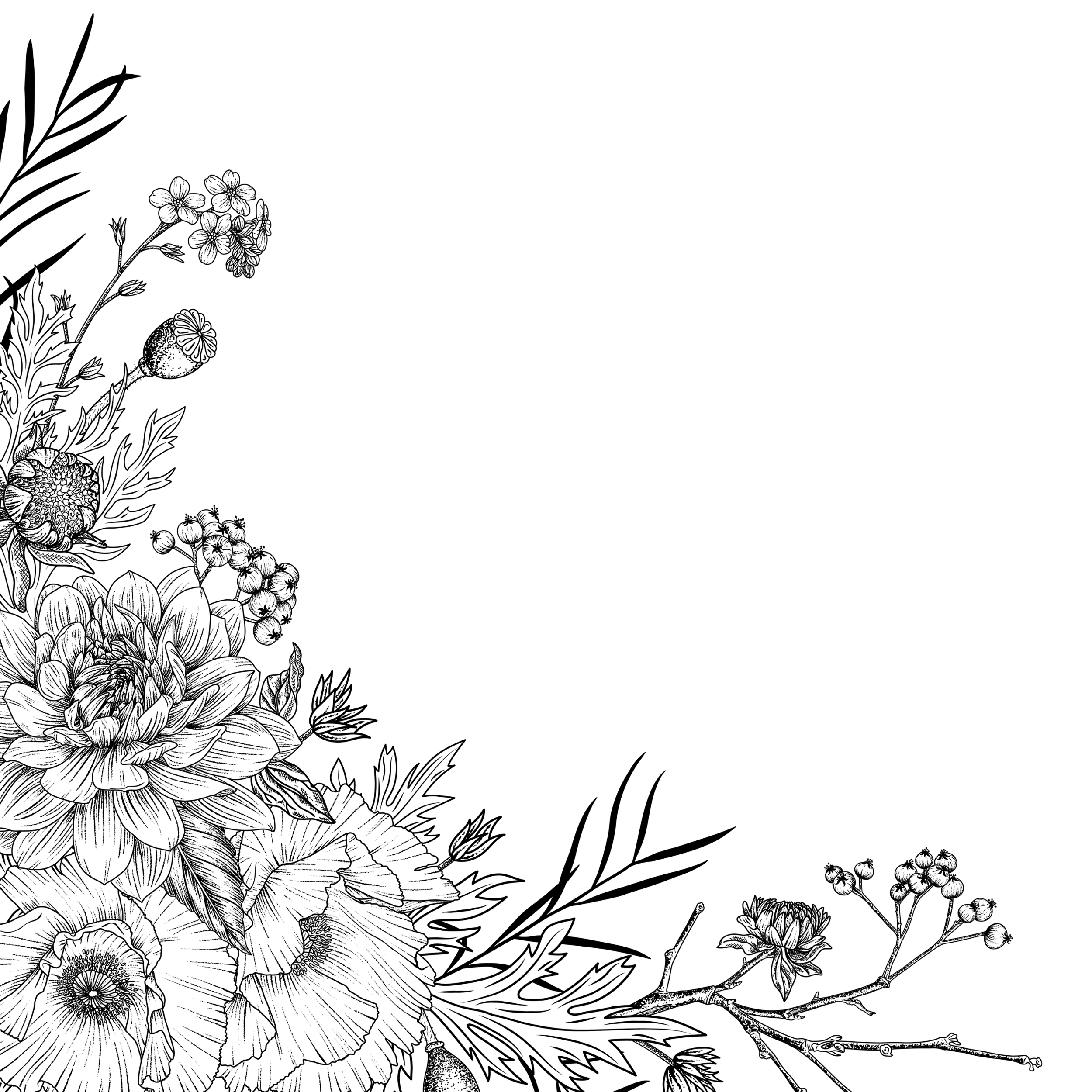 parallax-in-left