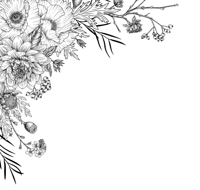 parallax-in-left
