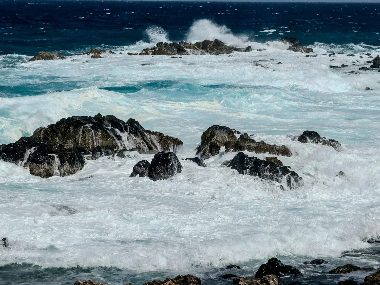 Aruba Cruise Excursions: Best Tours & What to Skip
