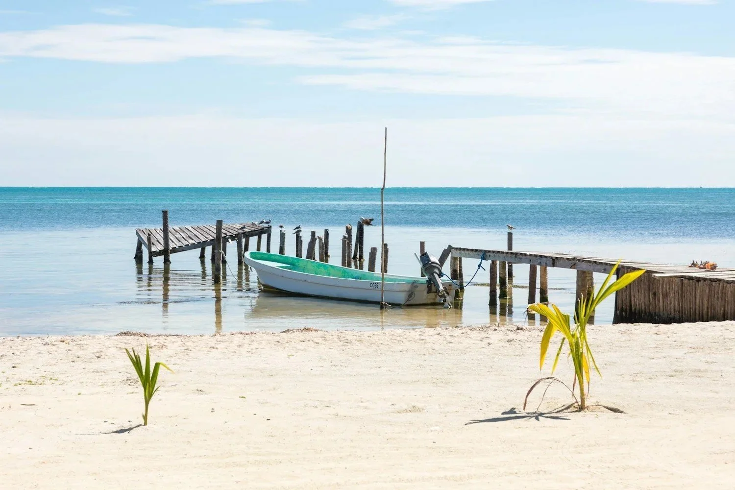 Belize City Cruise Excursions: Best Tours & What to Skip