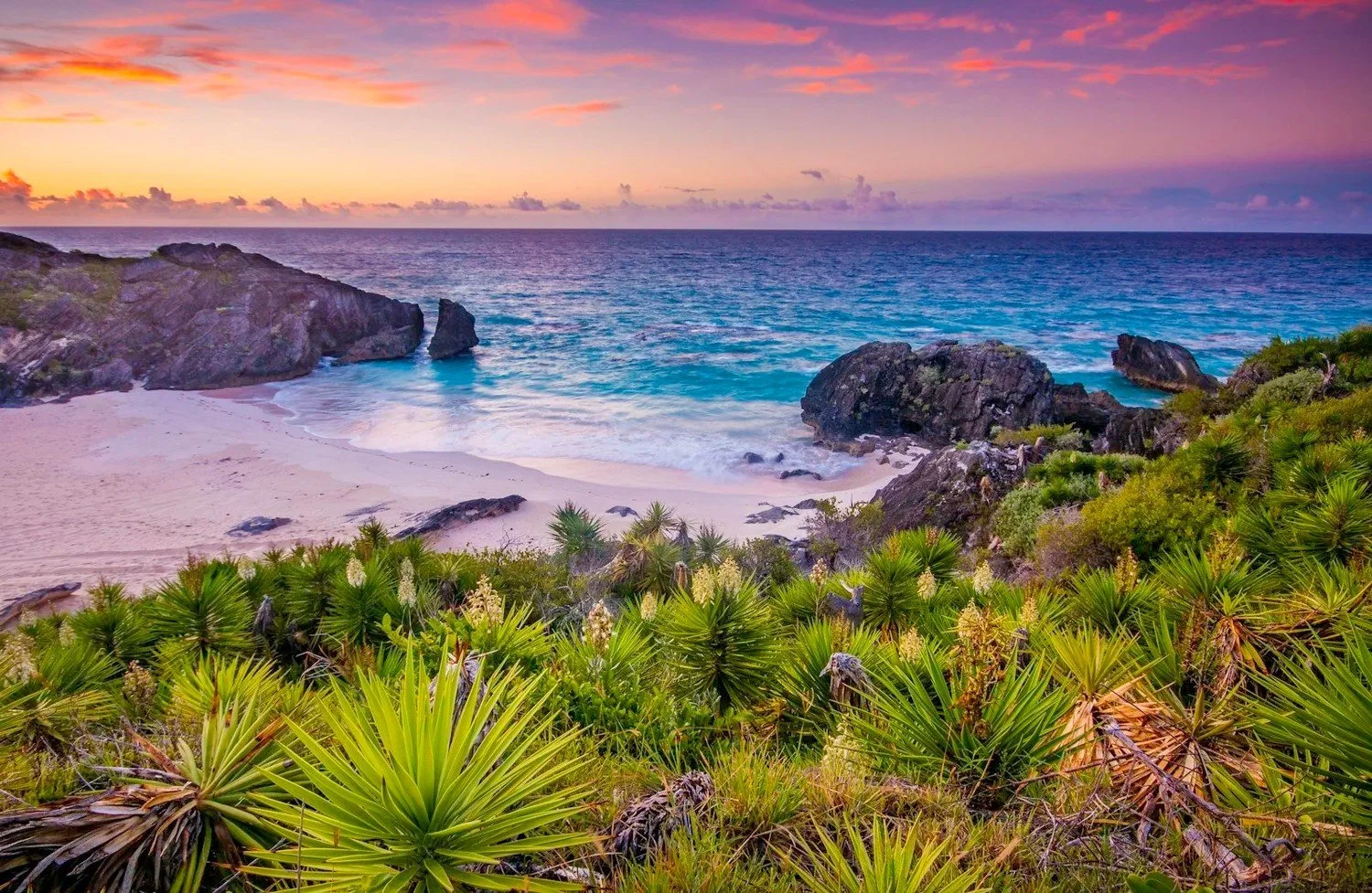 Bermuda Shore Excursions: Best Tours & What to Skip